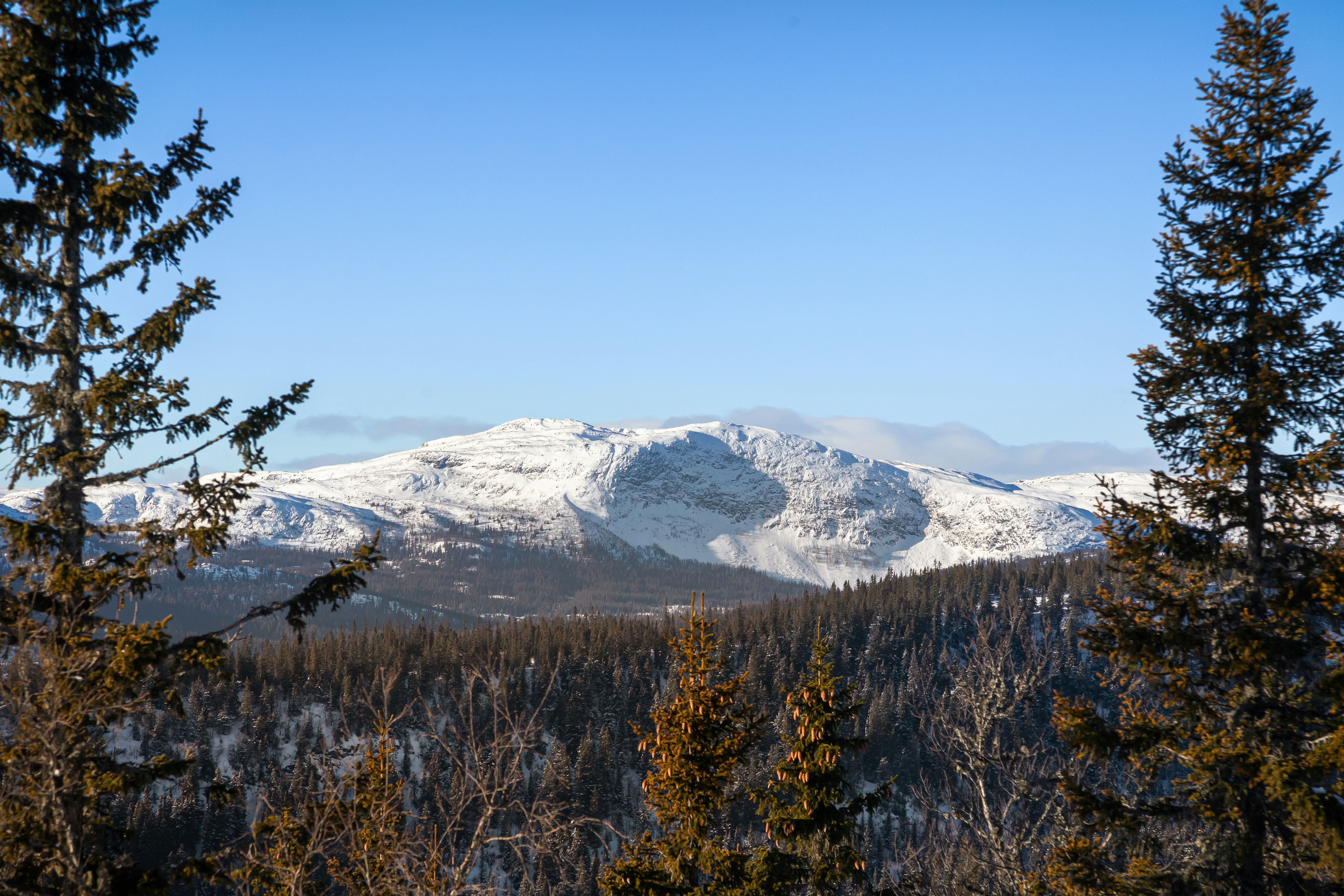 Photo by lisaanna195