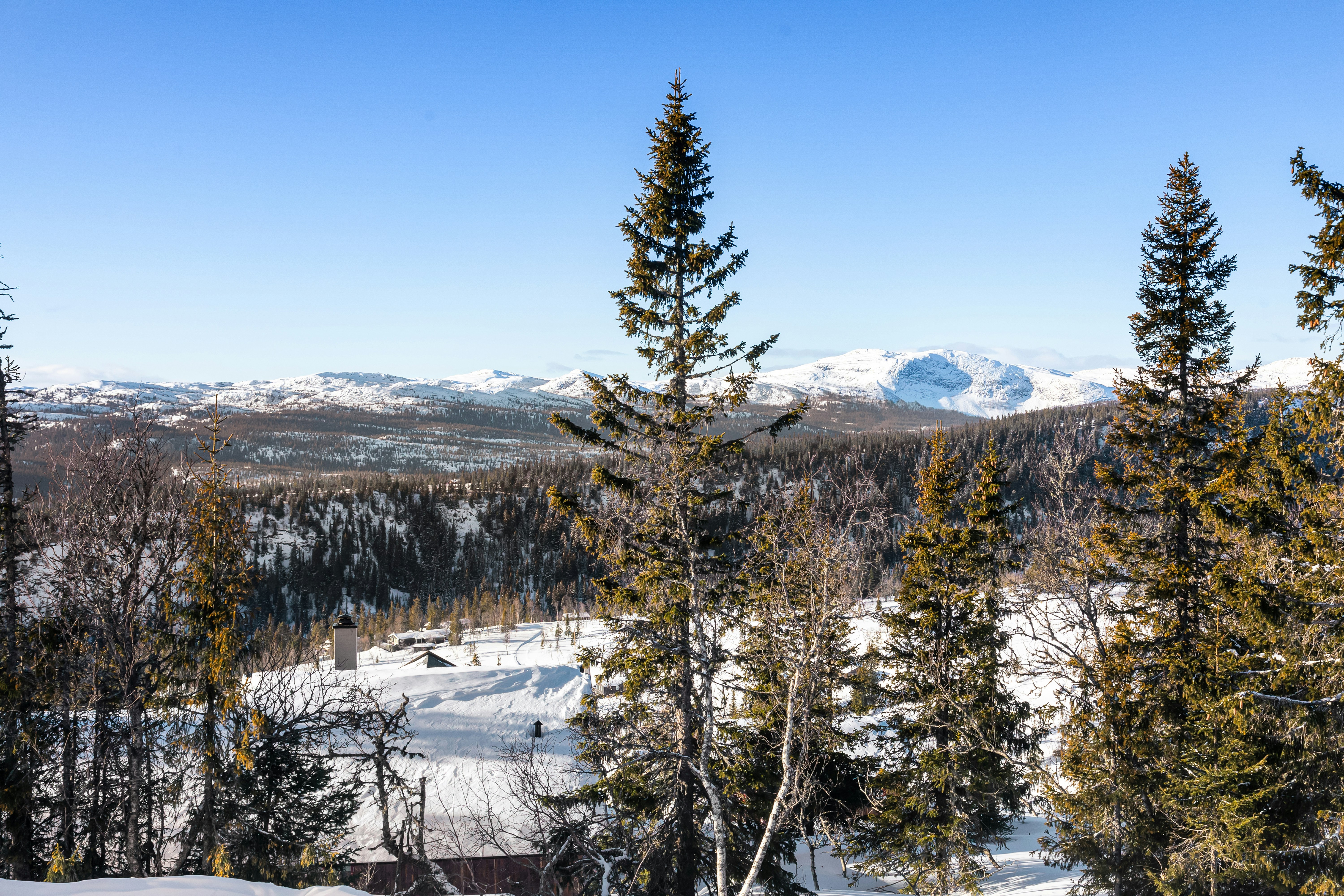 Photo by lisaanna195