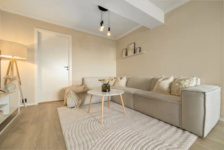 A living room filled with furniture and a white rug