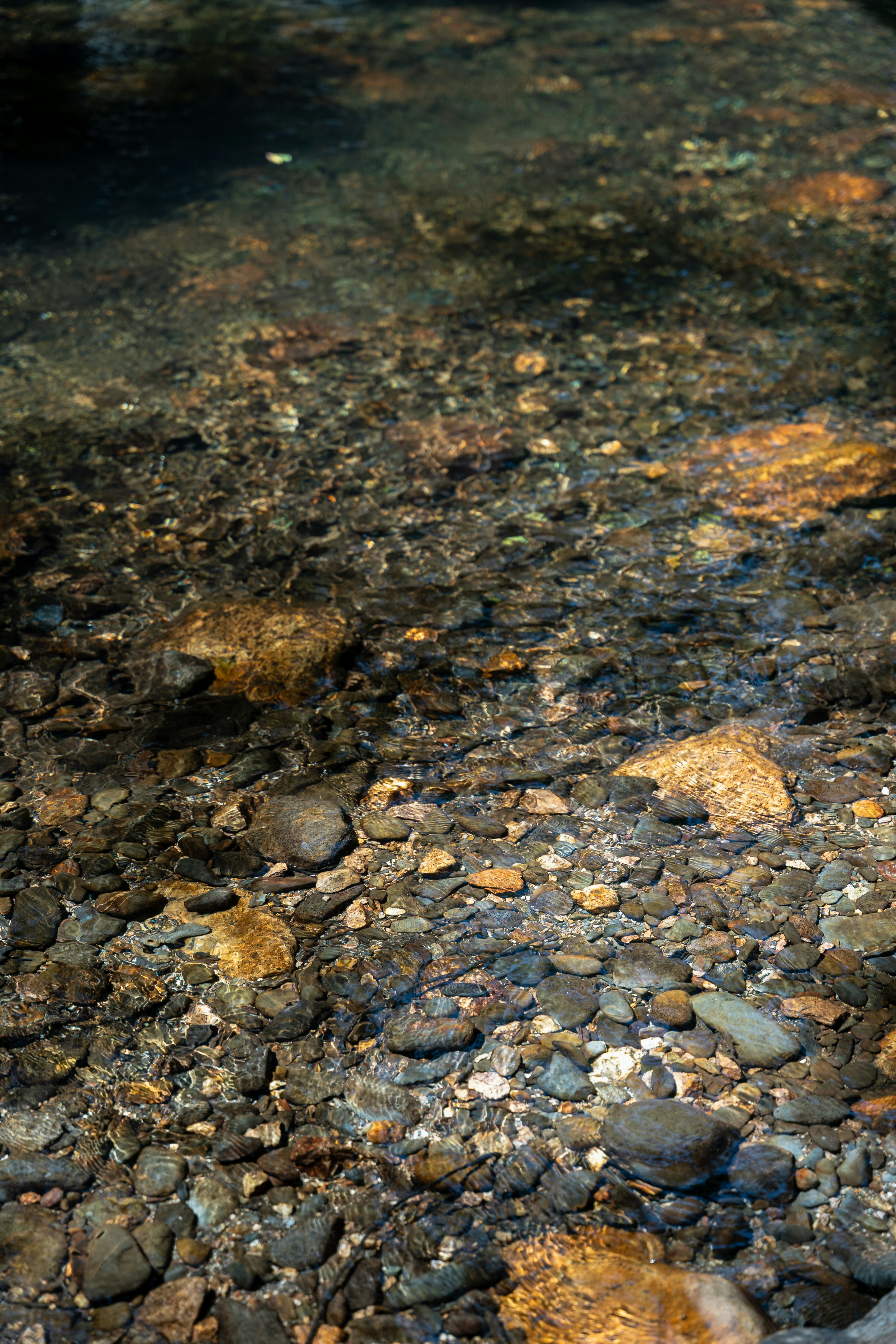 Photo by tiago_f_ferreira