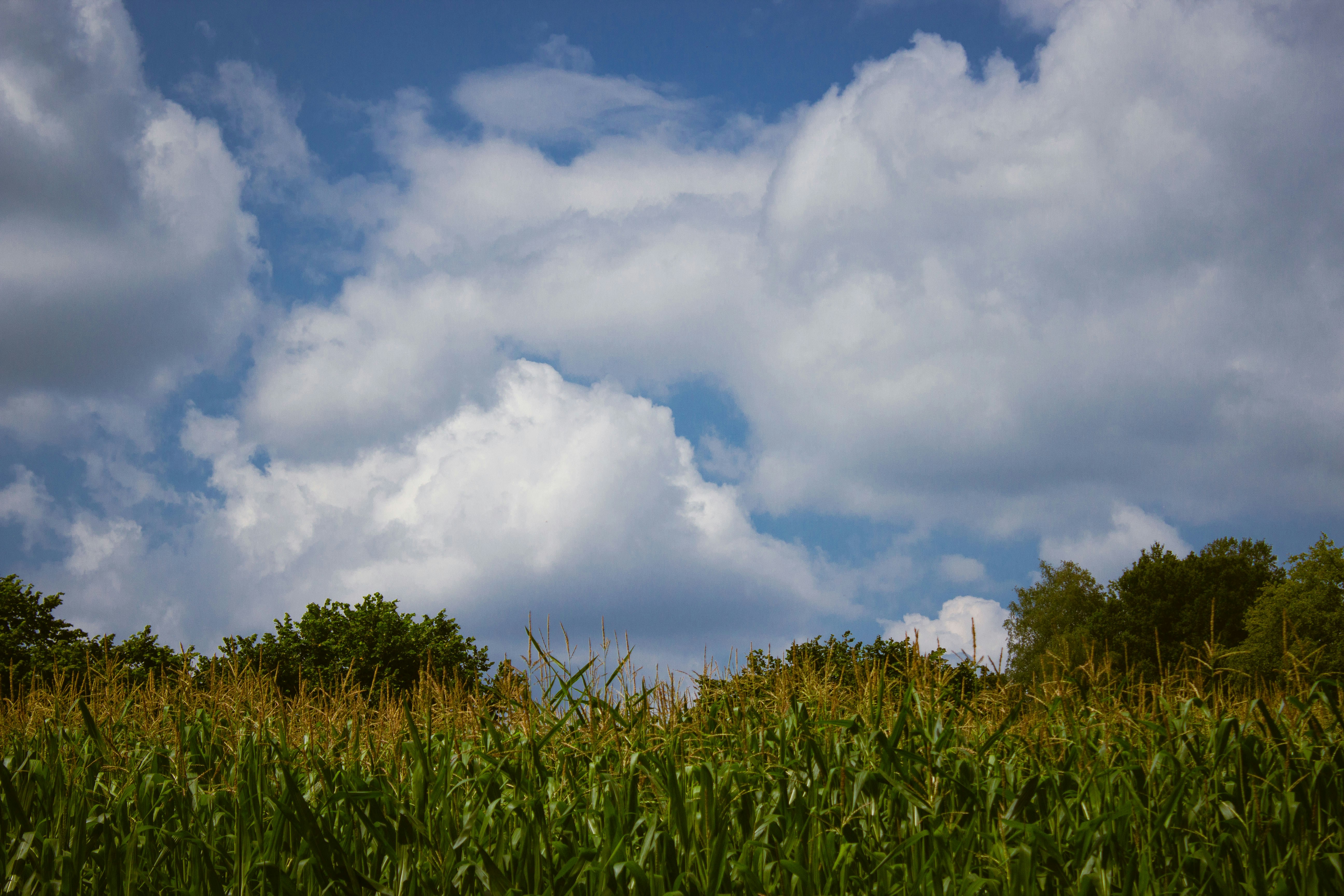 Photo by silaslundquist