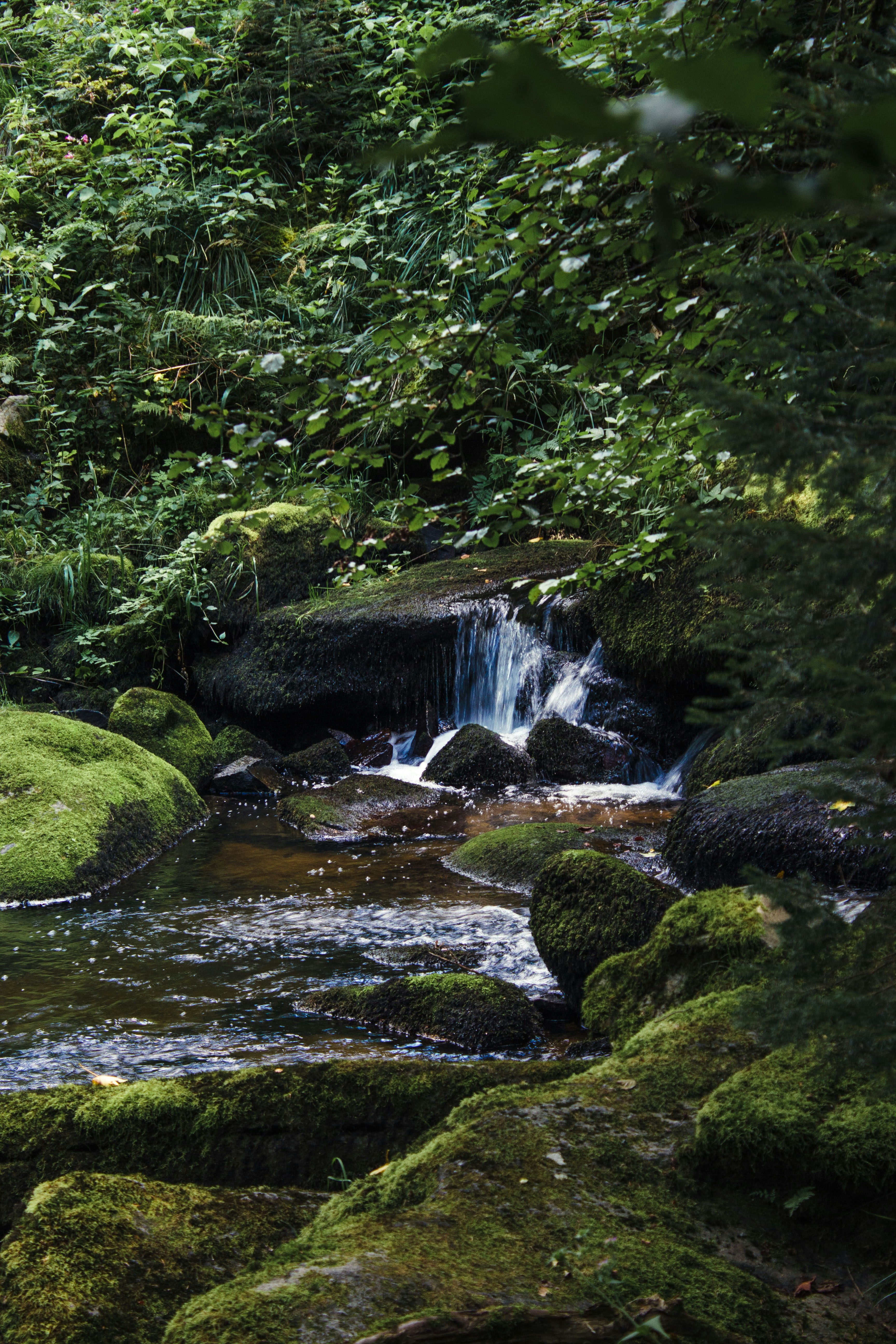 Photo by silaslundquist