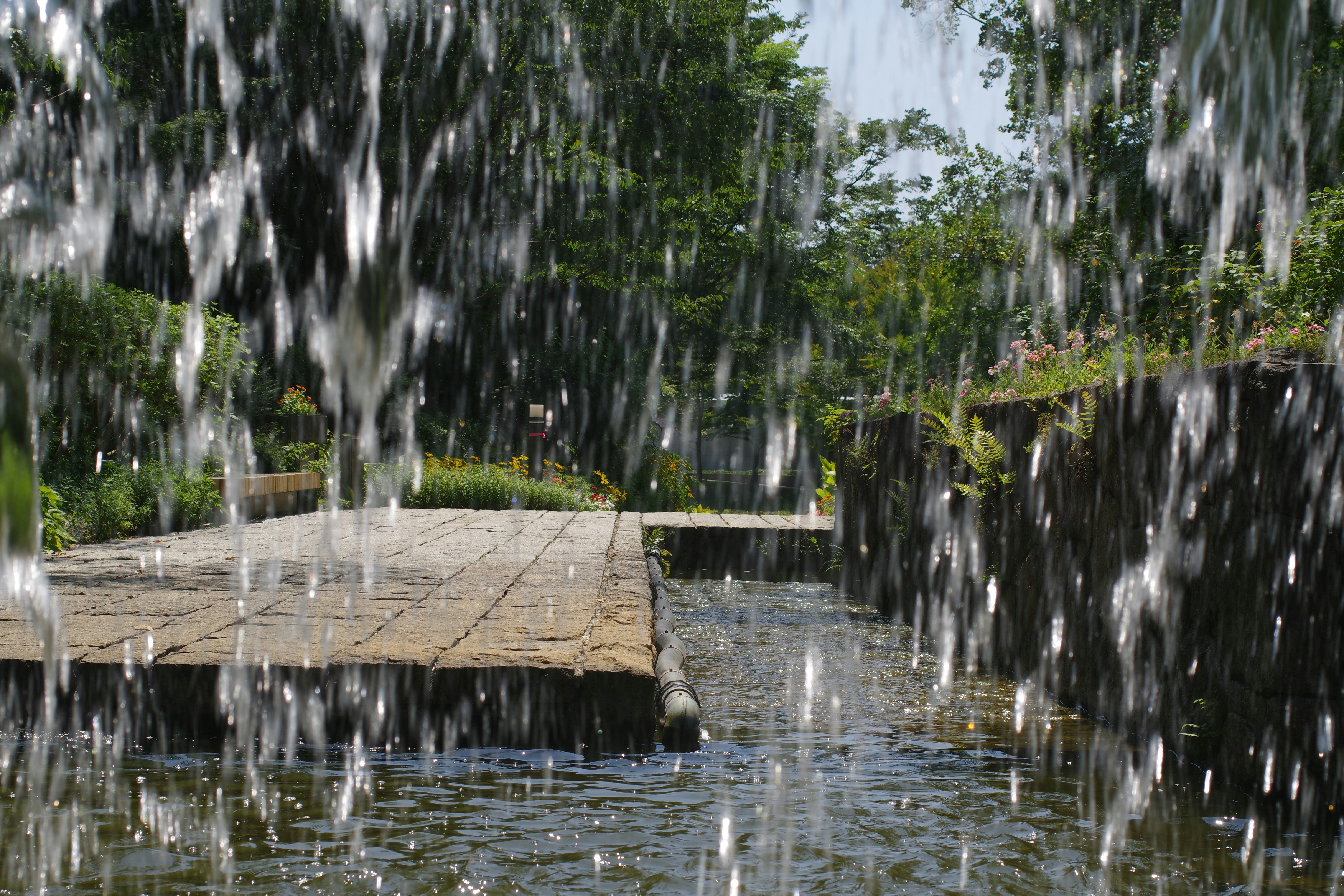 A large waterfall of water with trees in the background, Beautiful green and flower garden、新緑と美しい花が織りなす絶景 A superb view of fresh greenery and beautiful flowers