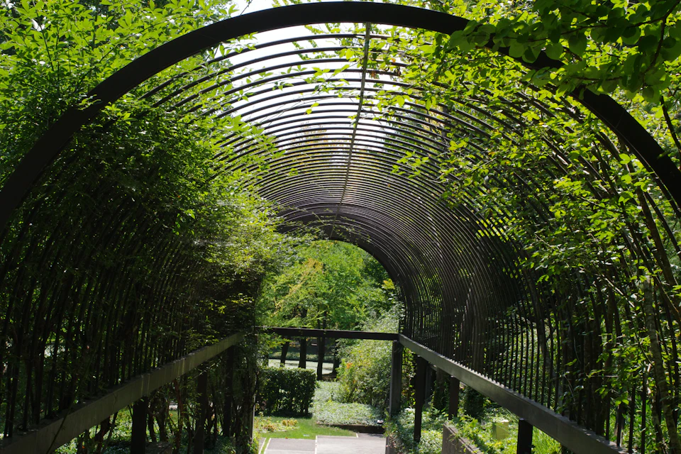 The image depicts a serene garden scene with an arched metal gate serving as the main focal point. The gate is constructed from black iron and features a curved design, creating a sense of depth and perspective within the frame. The gate is situated in front of a lush green hedge that adds to the overall tranquility of the setting.

A stone path can be seen on the right side of the image, leading towards the garden beyond the gate. The sky above is clear blue with scattered clouds, suggesting a bright and sunny day.