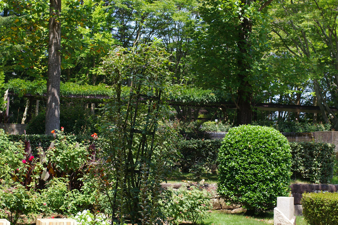 Drainage & Grading Solutions