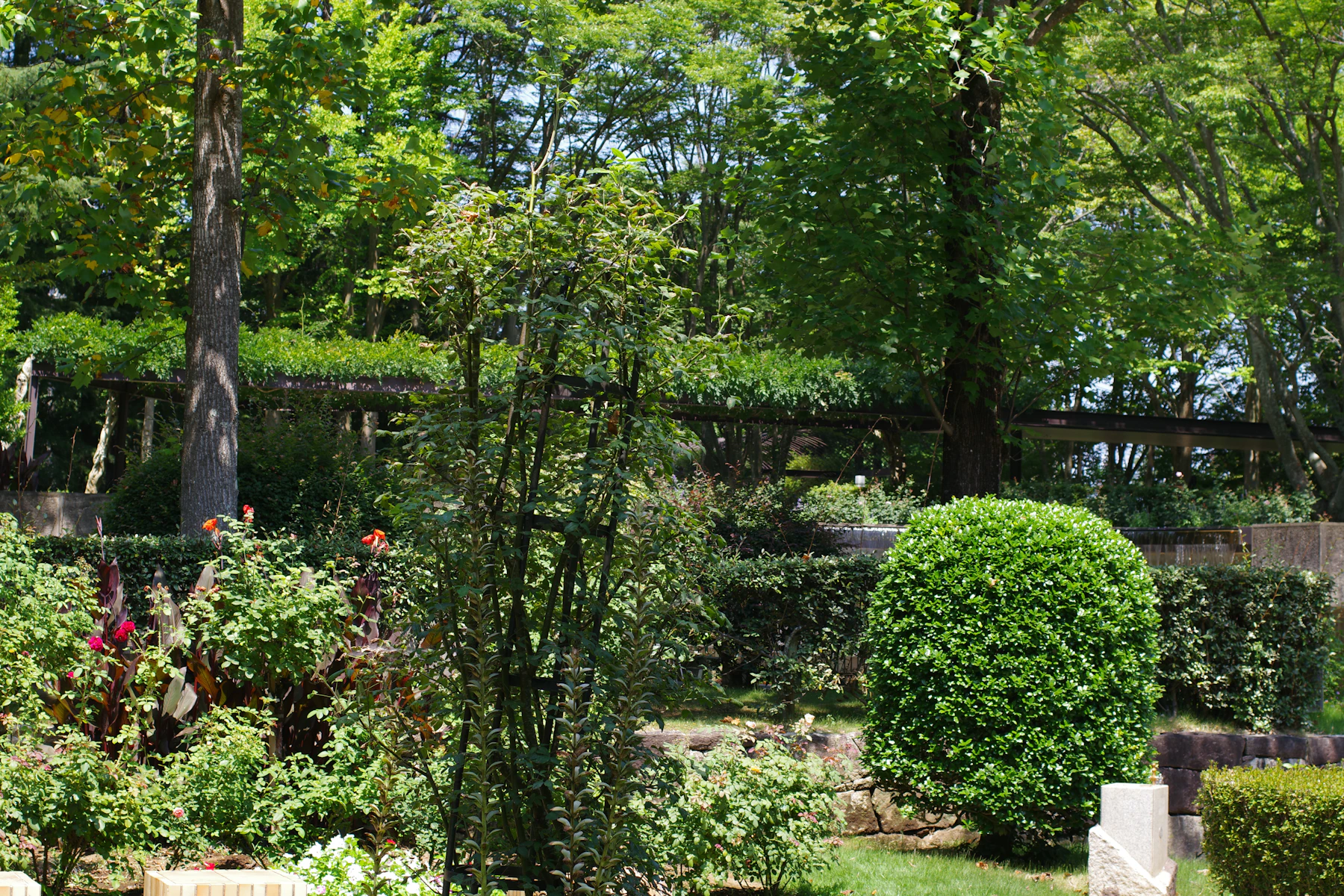 Drainage & Grading Solutions