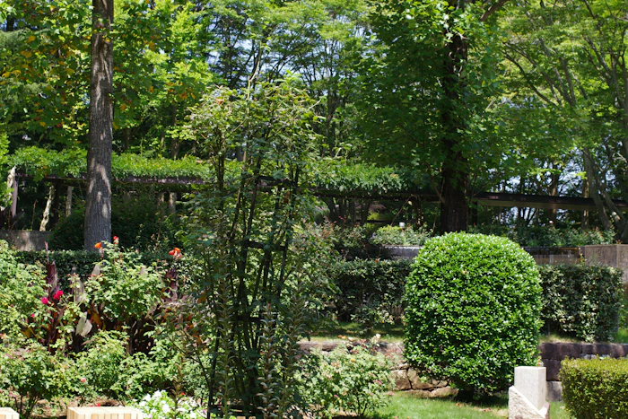 Drainage & Grading Solutions