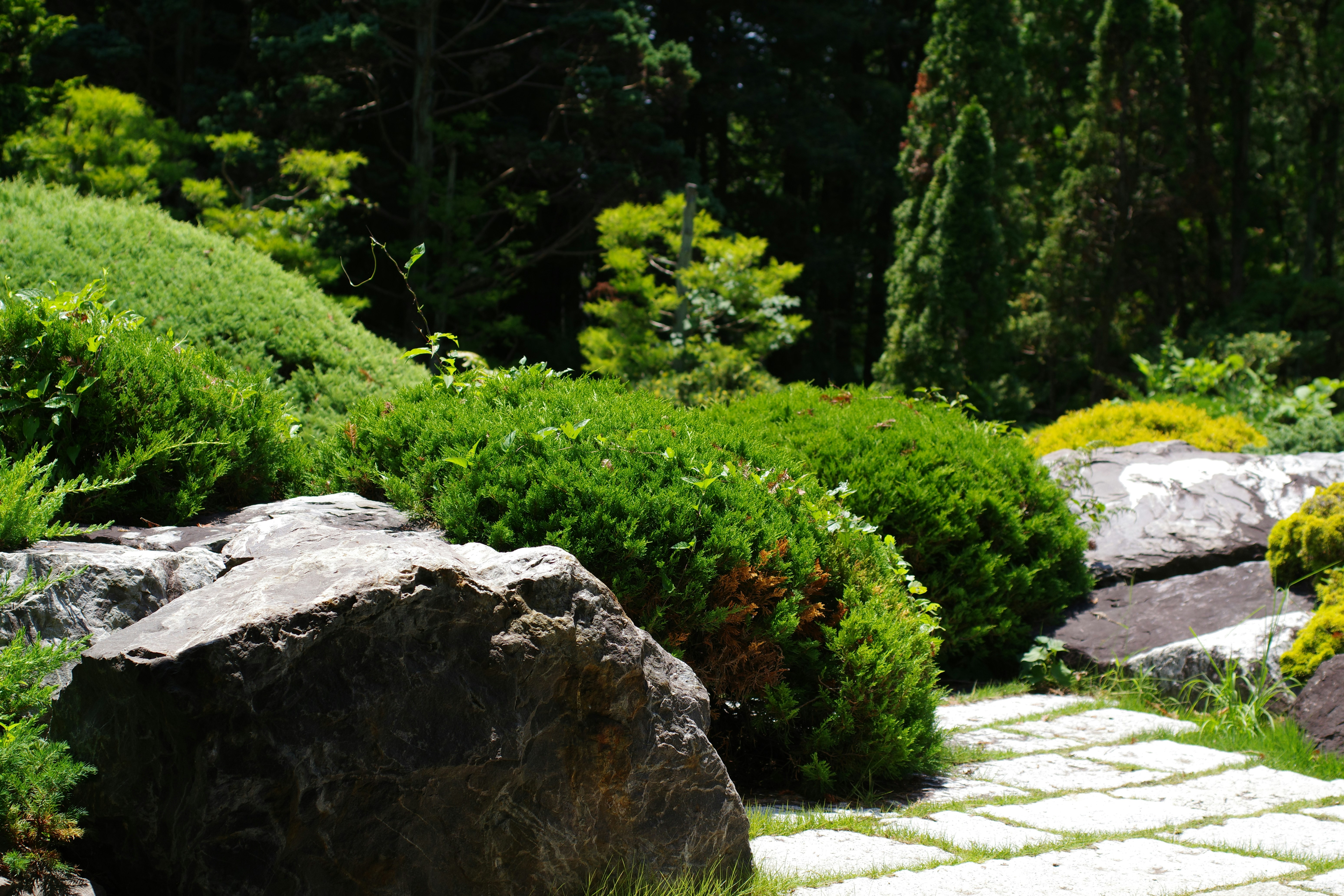 Beautiful green and flower garden、新緑と美しい花が織りなす絶景 A superb view of fresh greenery and beautiful flowers