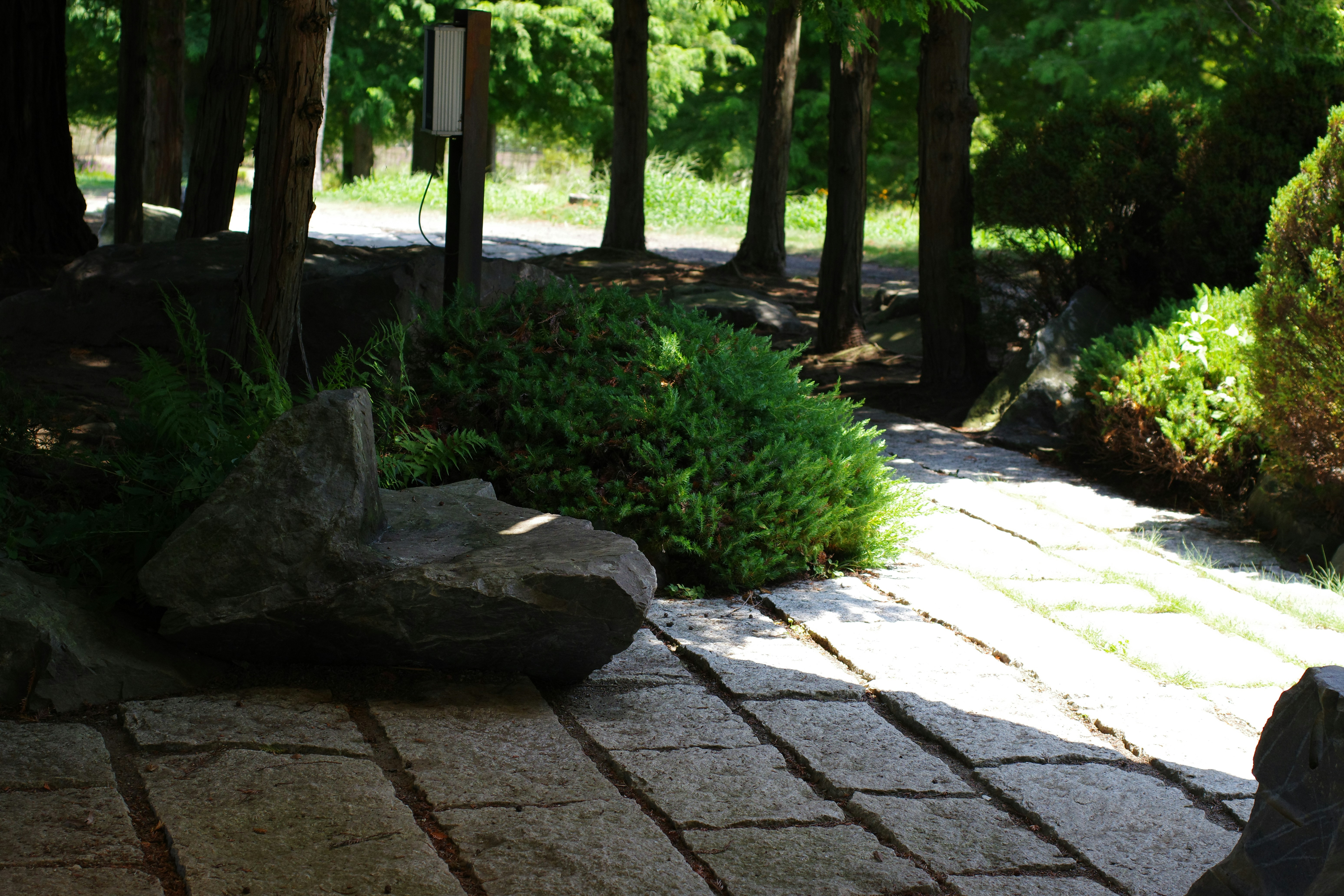 Beautiful green and flower garden、新緑と美しい花が織りなす絶景 A superb view of fresh greenery and beautiful flowers