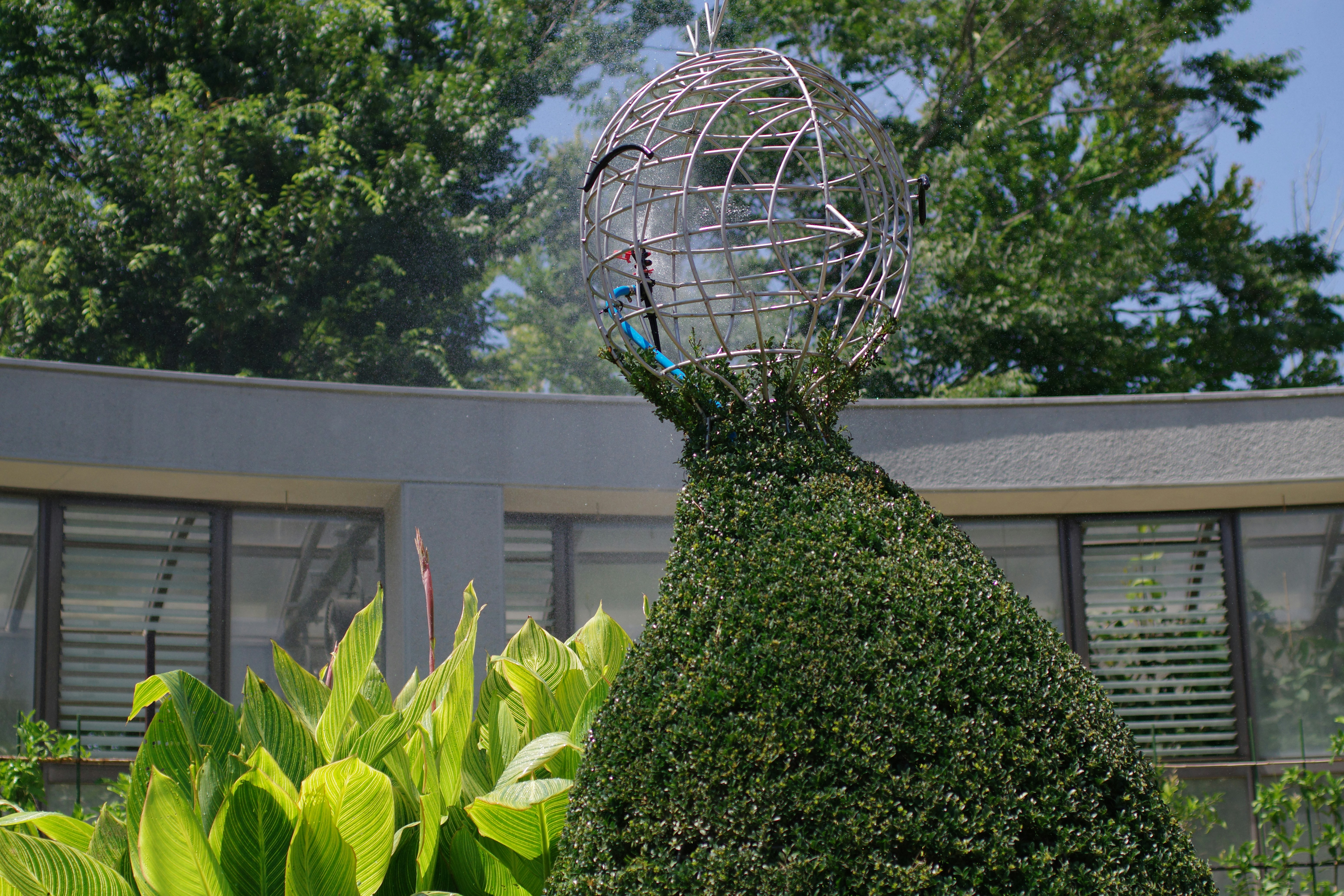 Una escultura de la cabeza de una mujer en un jardín foto – Imagen de  Tierra gratuita en Unsplash, image size:3000x2000
