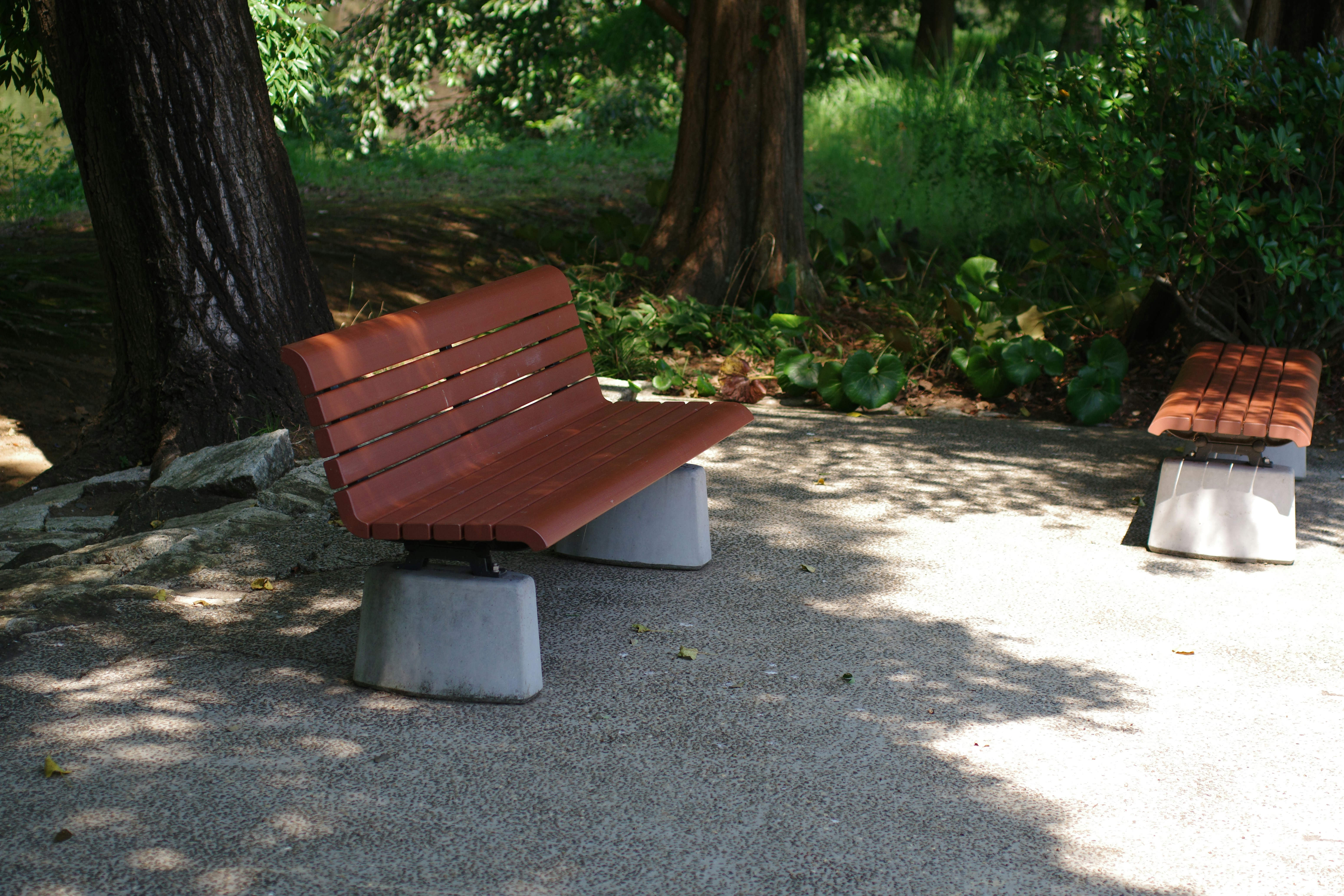 Eine Holzbank mitten in einem Park