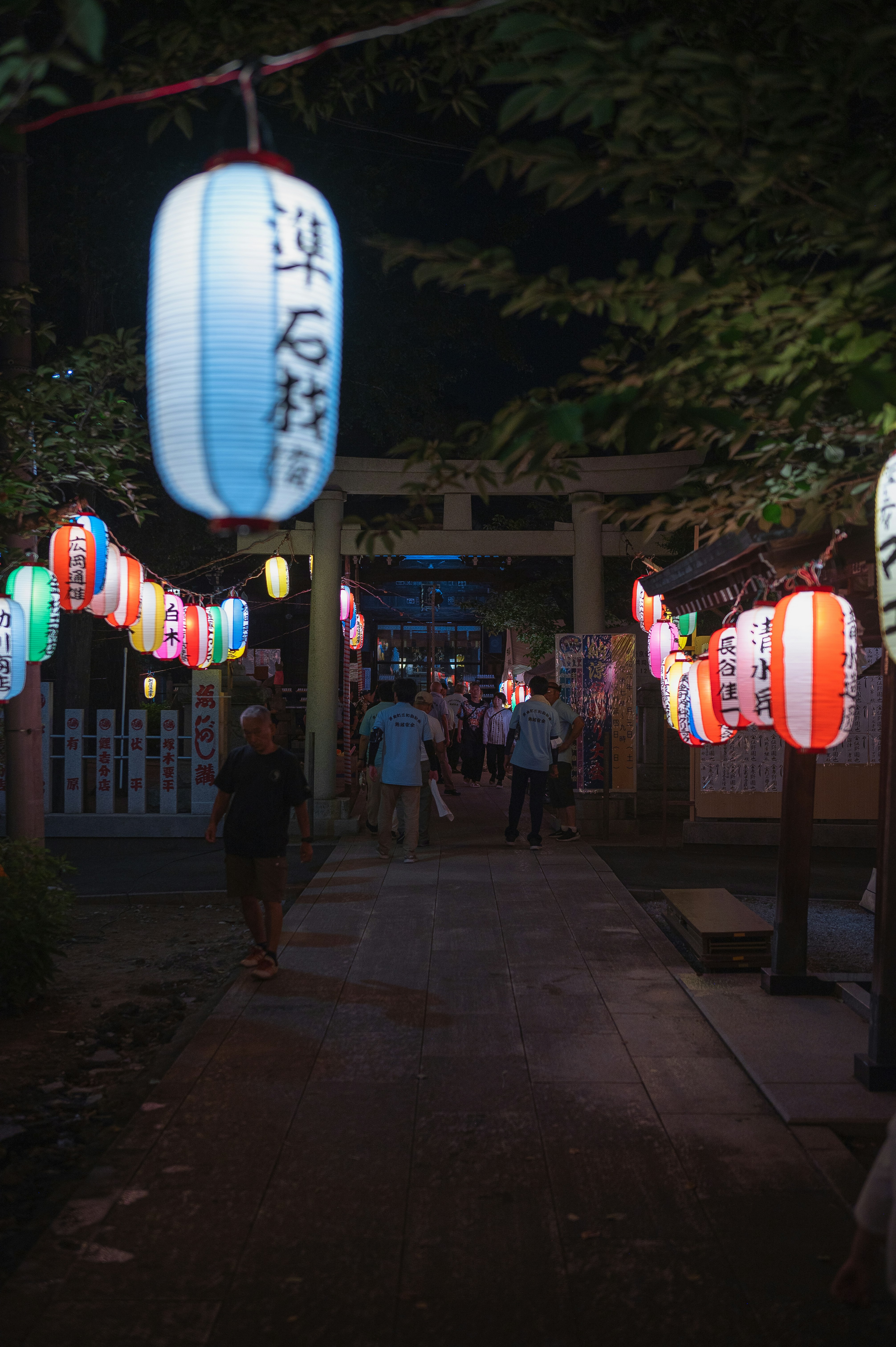 Guided folklore night walk in countryside