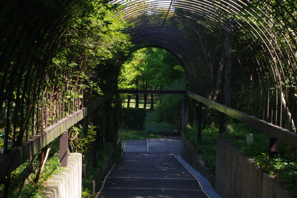 The image depicts a serene garden scene with an arched walkway constructed from metal, leading to a small archway at the end. The walkway is surrounded by lush greenery and trees, creating a sense of tranquility. A stone wall can be seen on one side of the walkway, adding architectural interest to the landscape. The image is taken from a low angle, emphasizing the height of the arched walkway and the surrounding foliage.