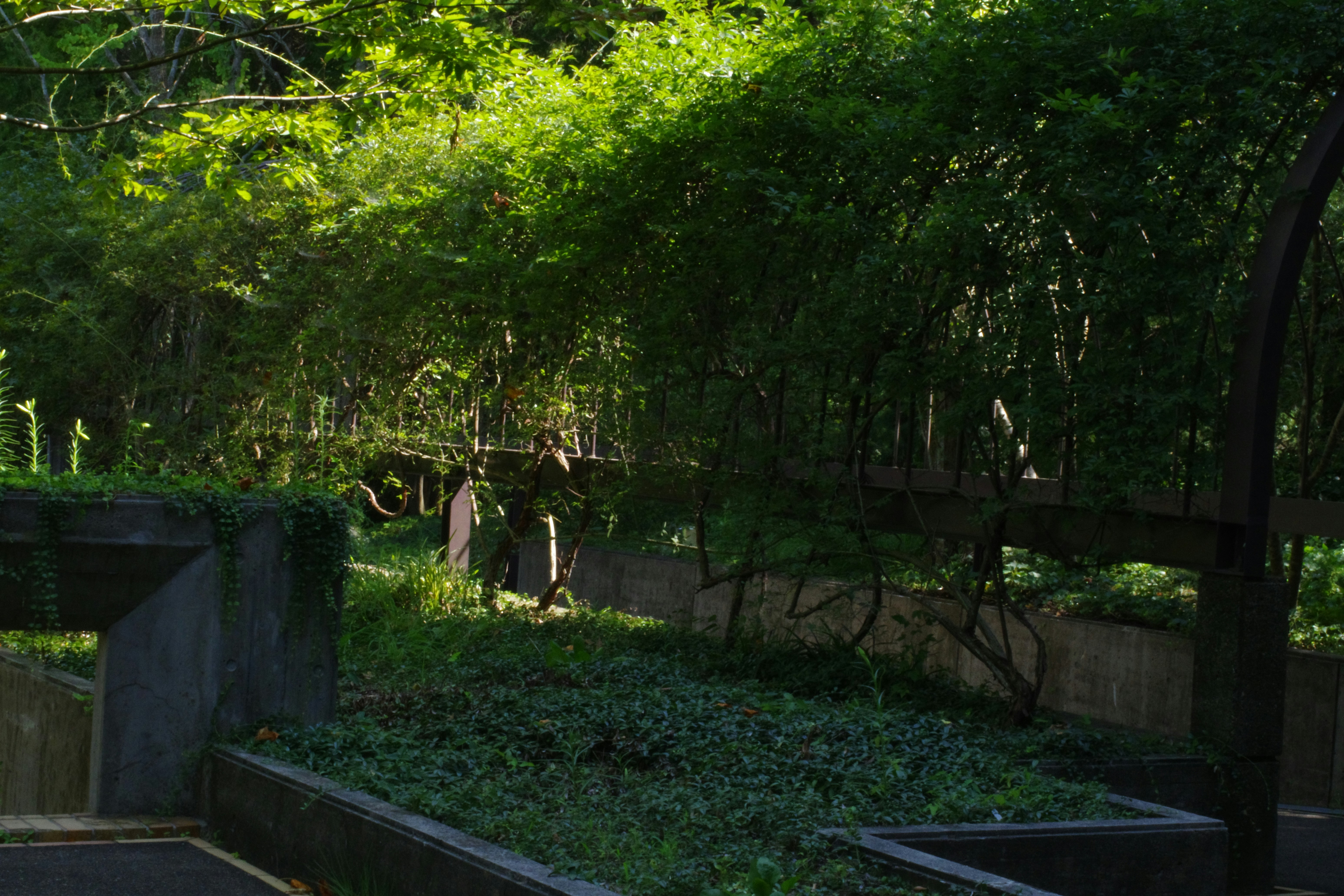 A street sign in front of a row of trees