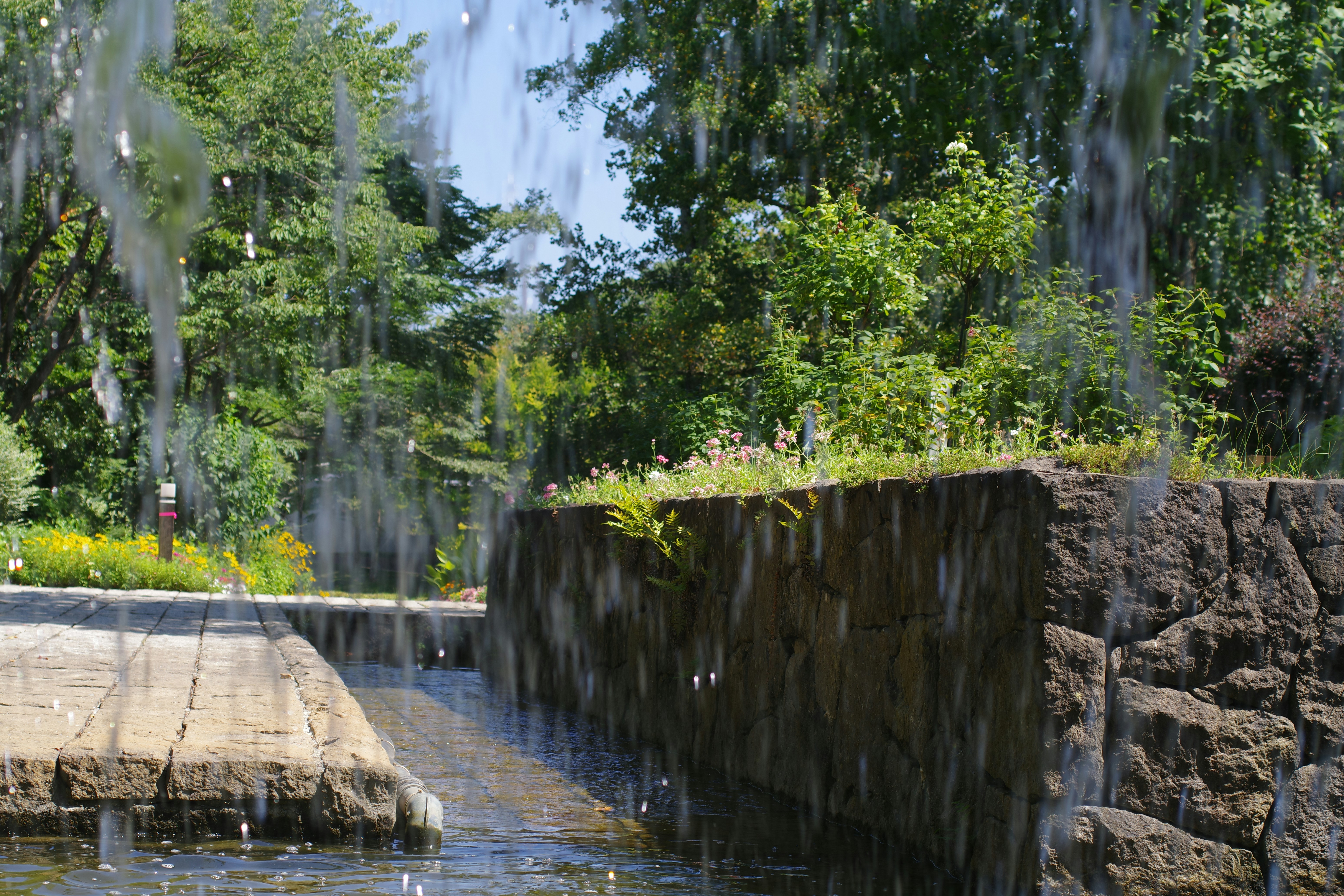 There is a small waterfall in the middle of the park