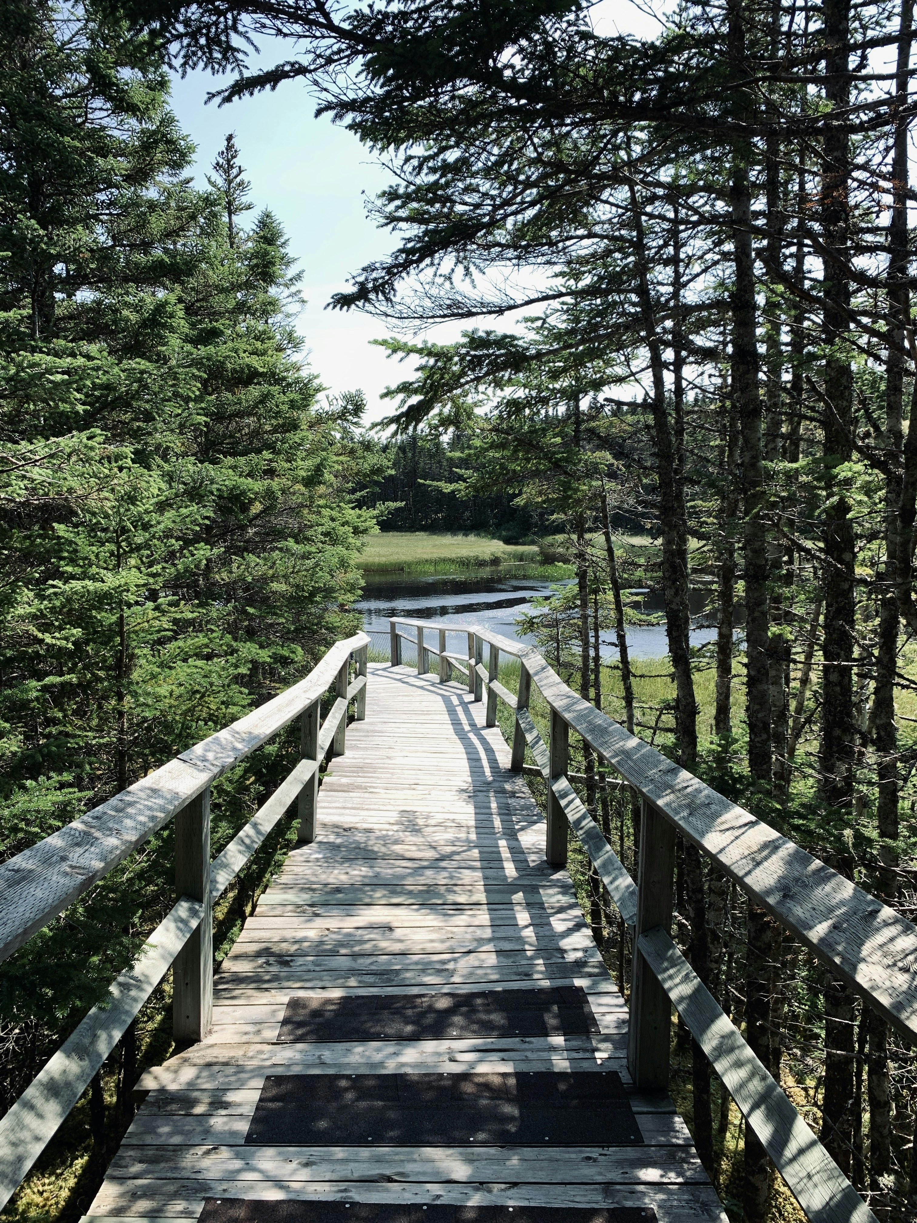 A wooden bridge over a river surrounded by trees