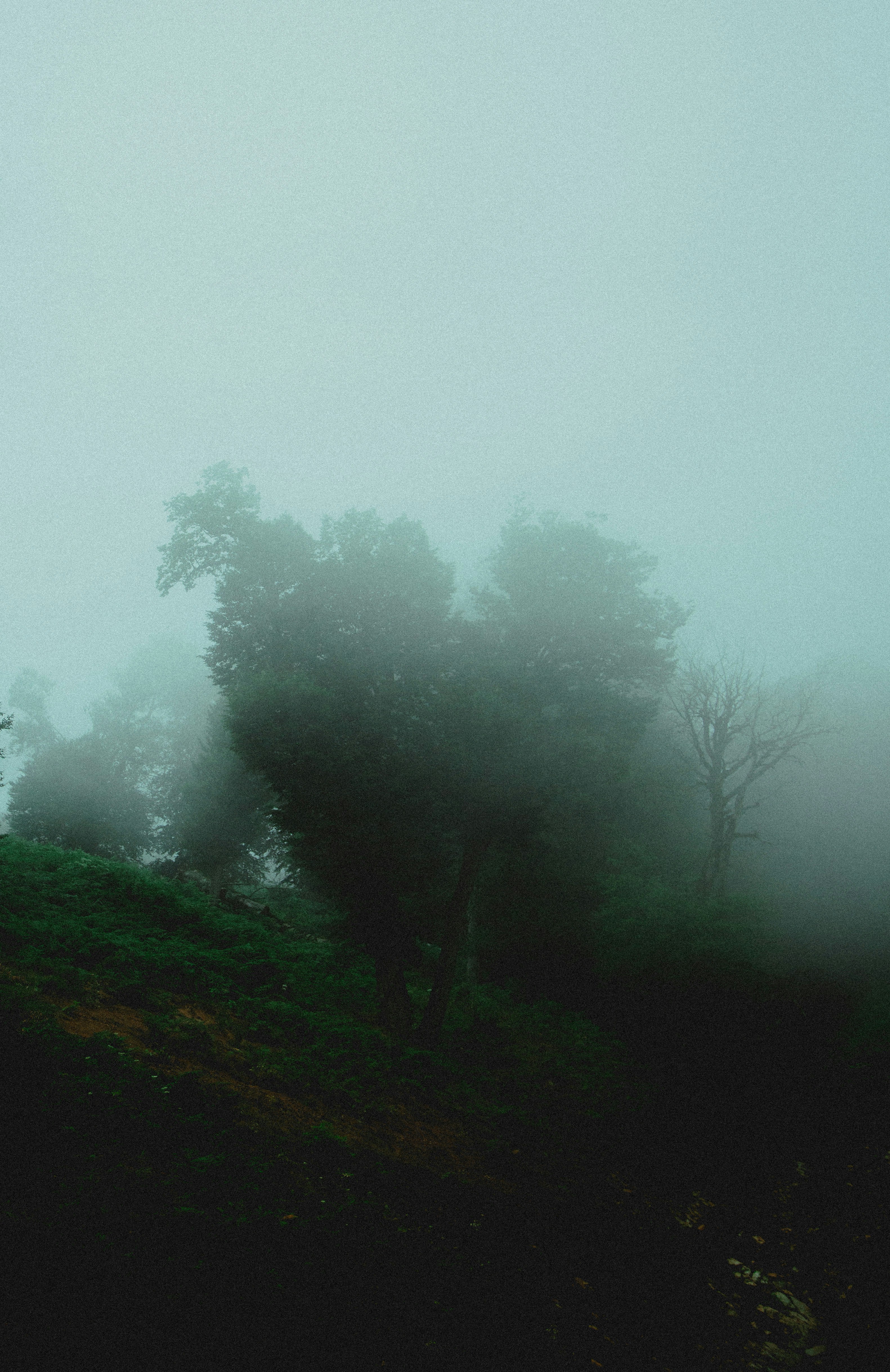 Photo by mrcharkhgard