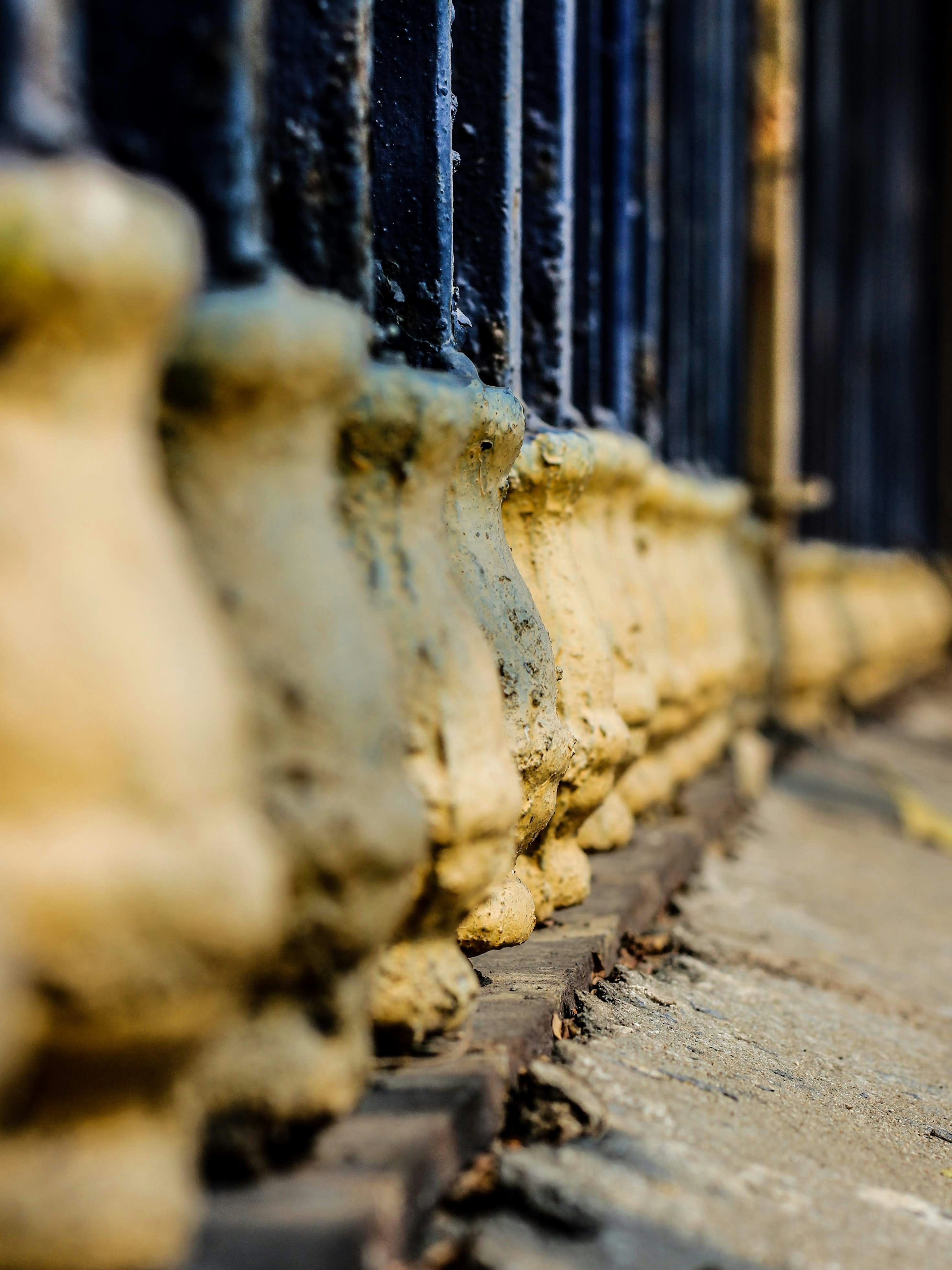 Photo by aditya_sethia_97