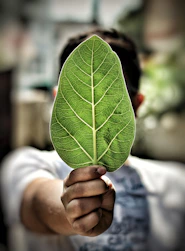 A man holding up a green leaf in front of his face