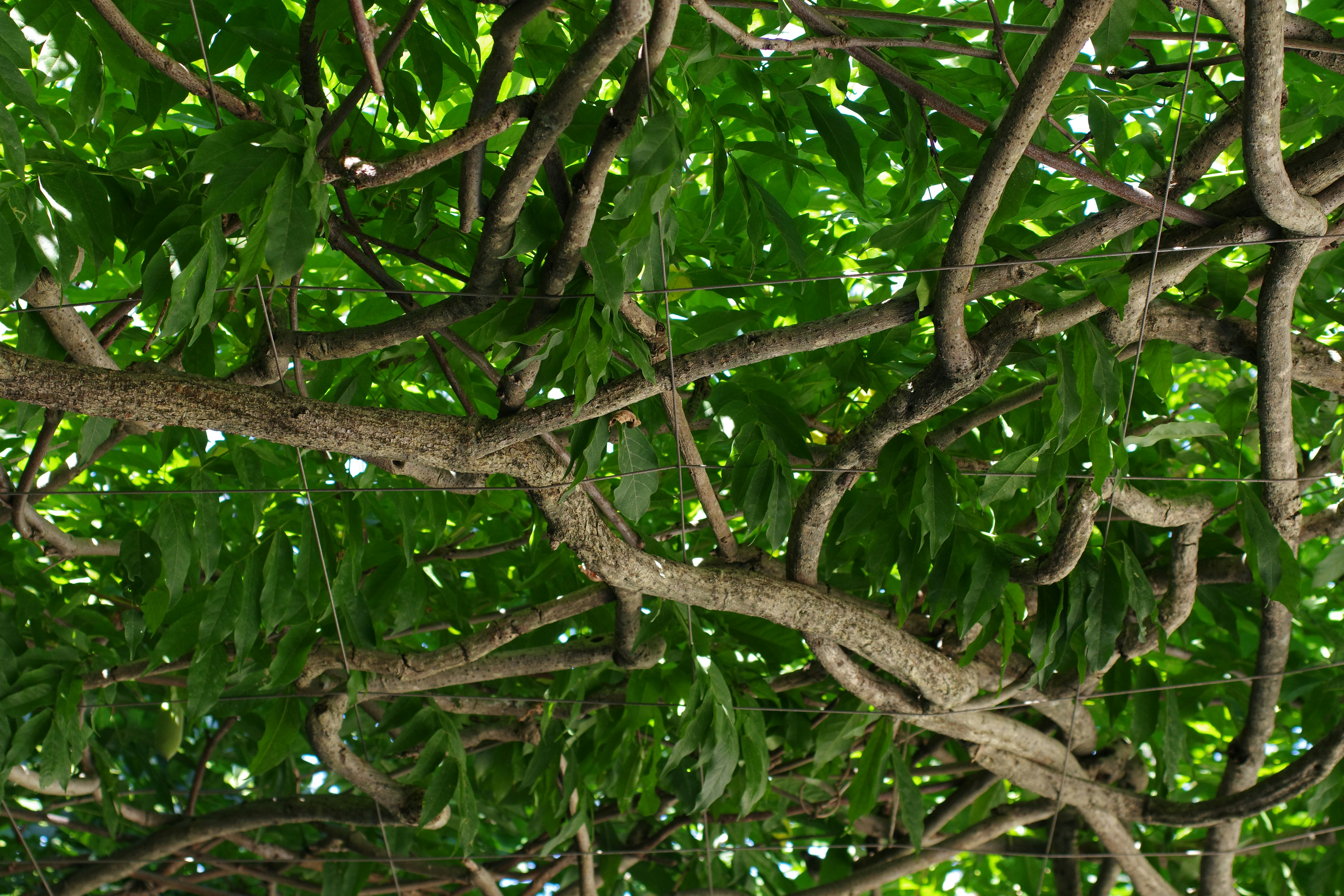 How Did It Get Here? (image credits: unsplash)