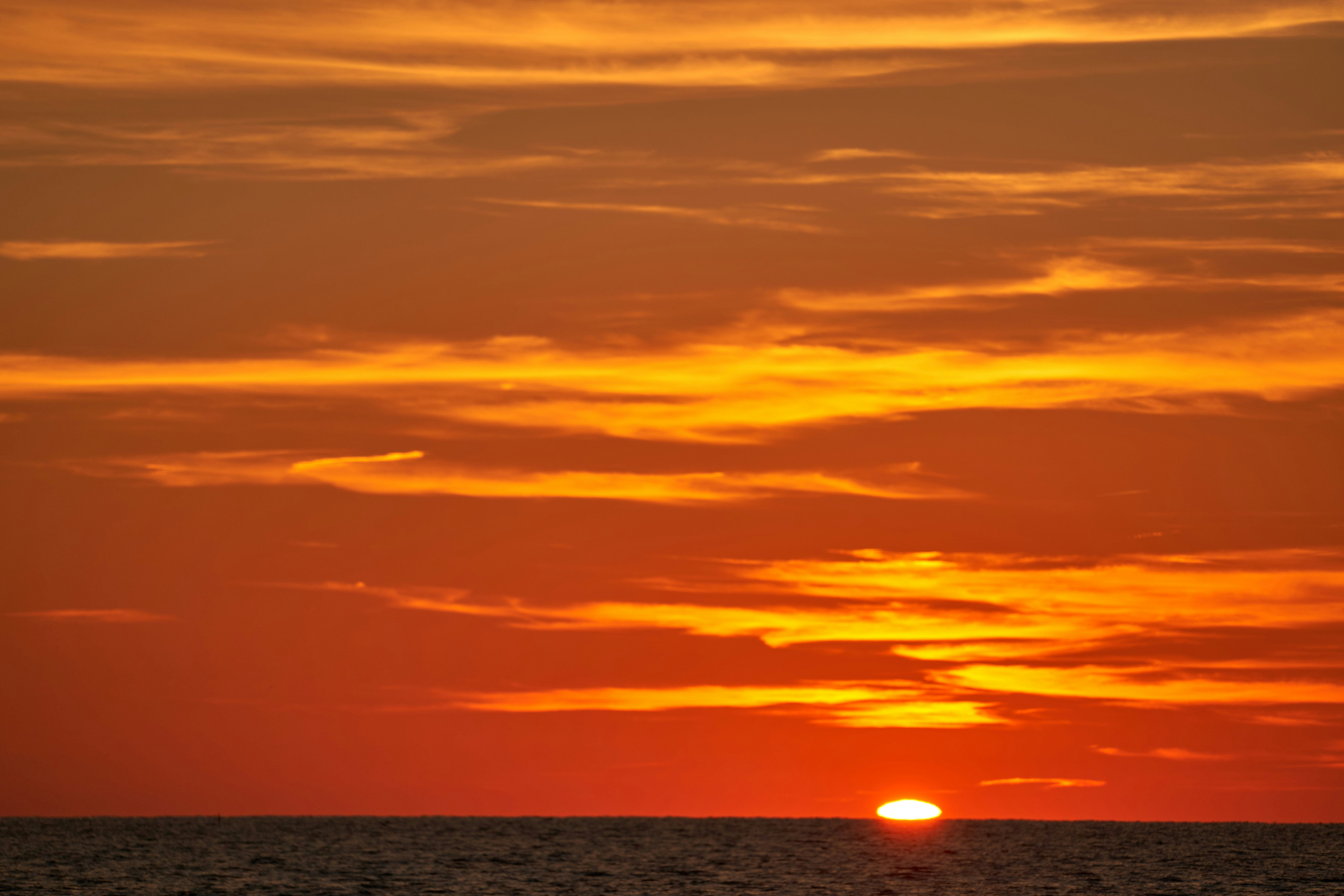 Photo by wolfgang_hasselmann