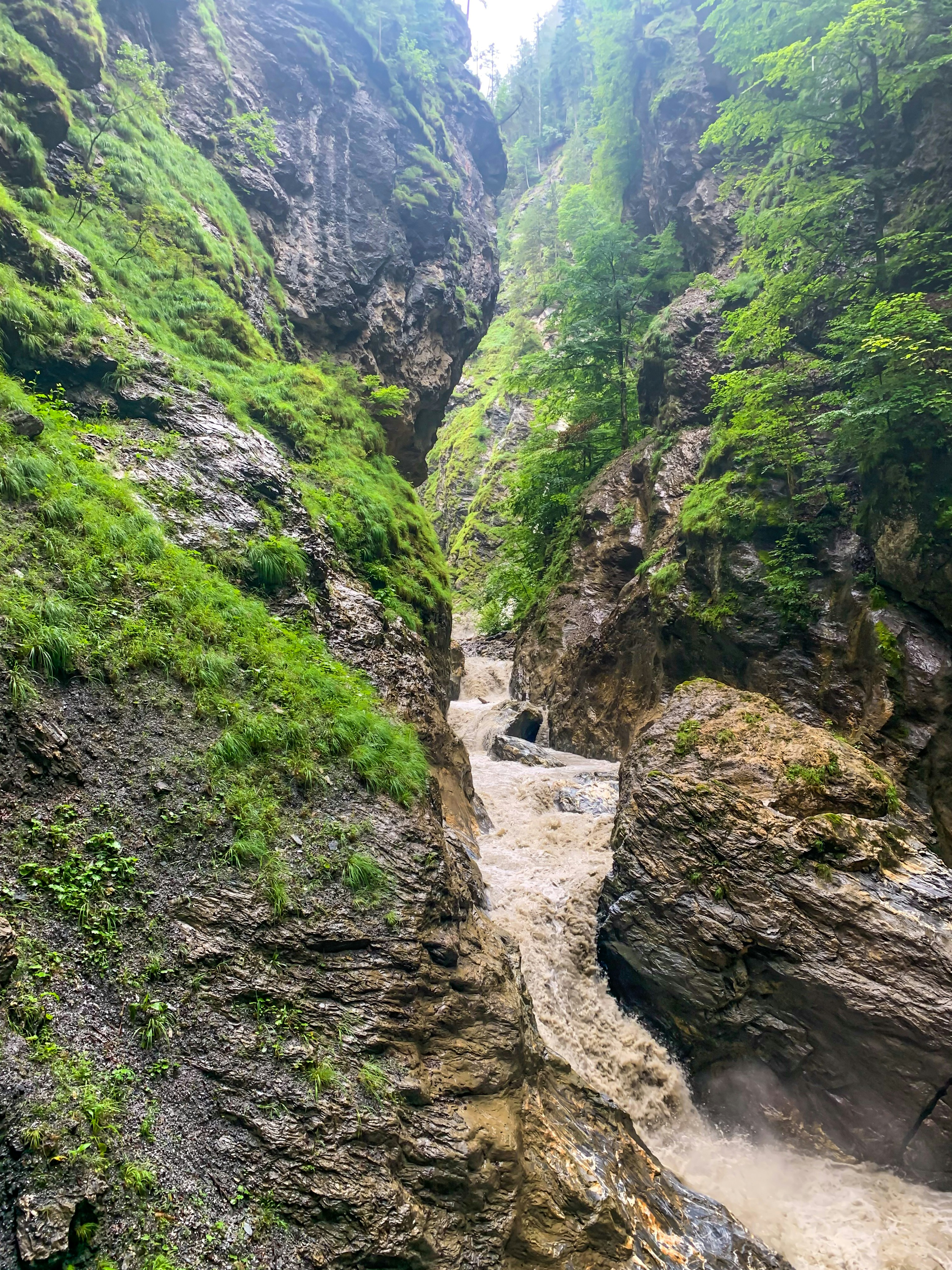 Photo by serhiivlasov