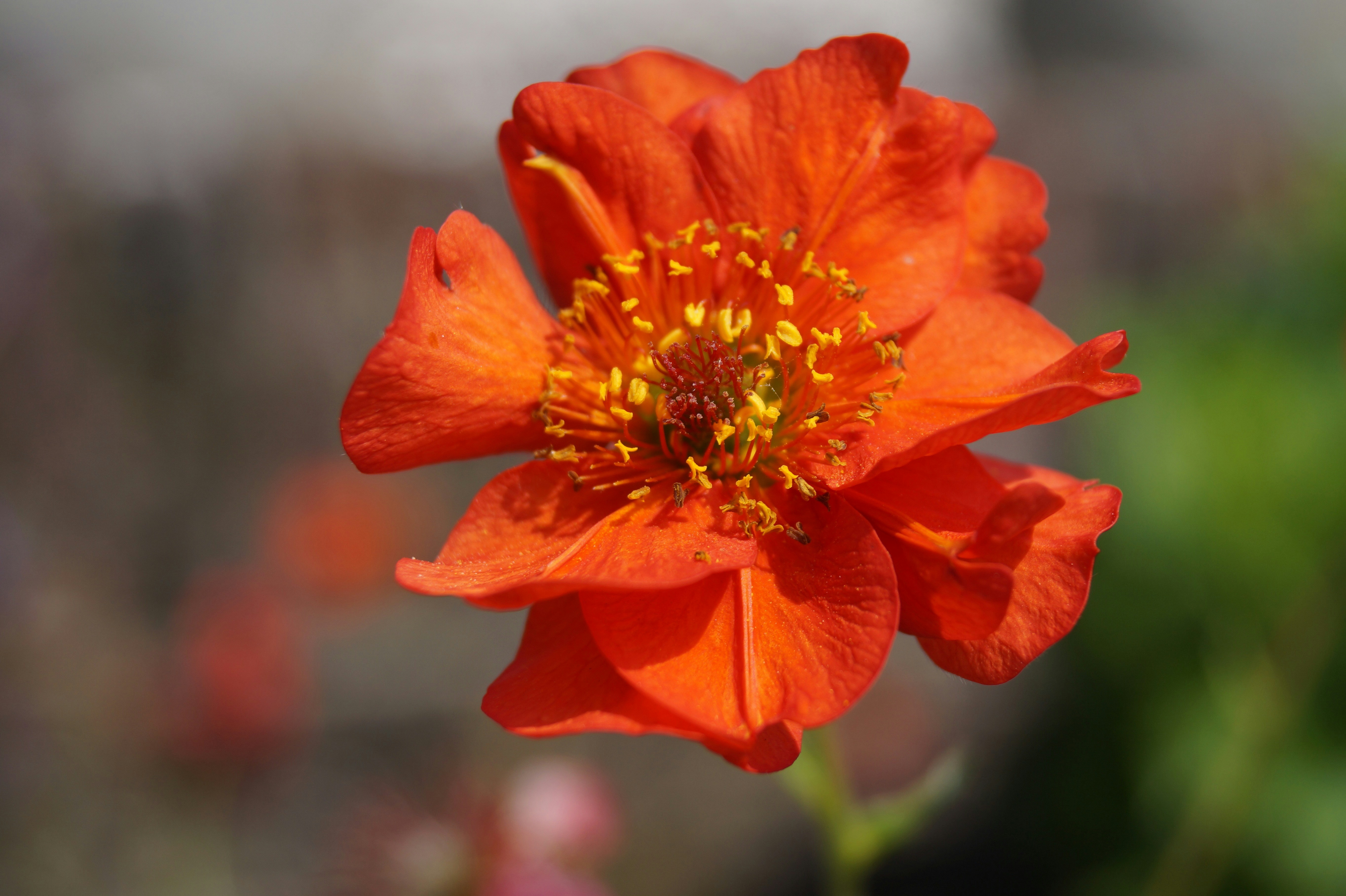 Photo by studionoordhoek