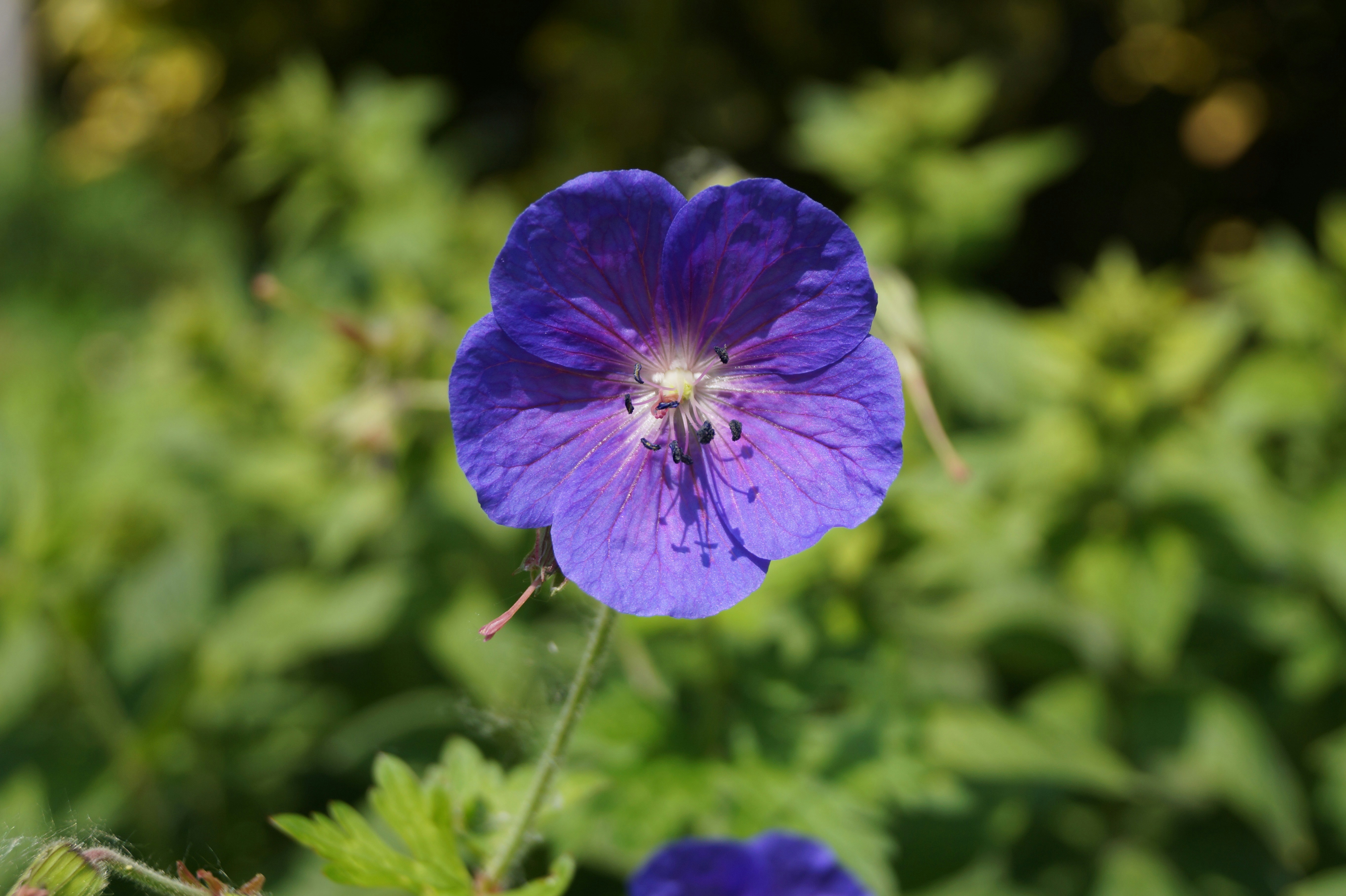 Photo by studionoordhoek