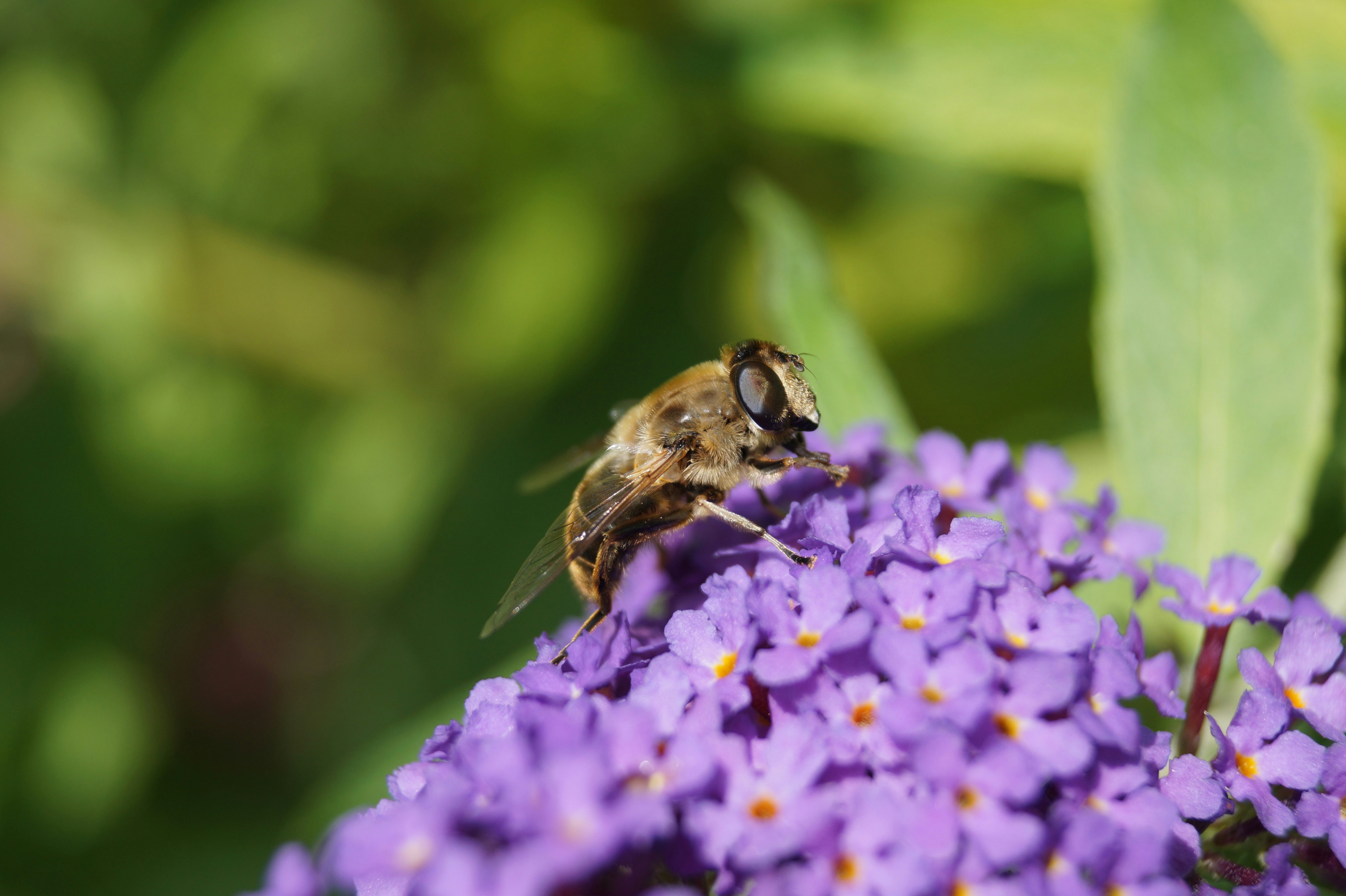 Photo by studionoordhoek