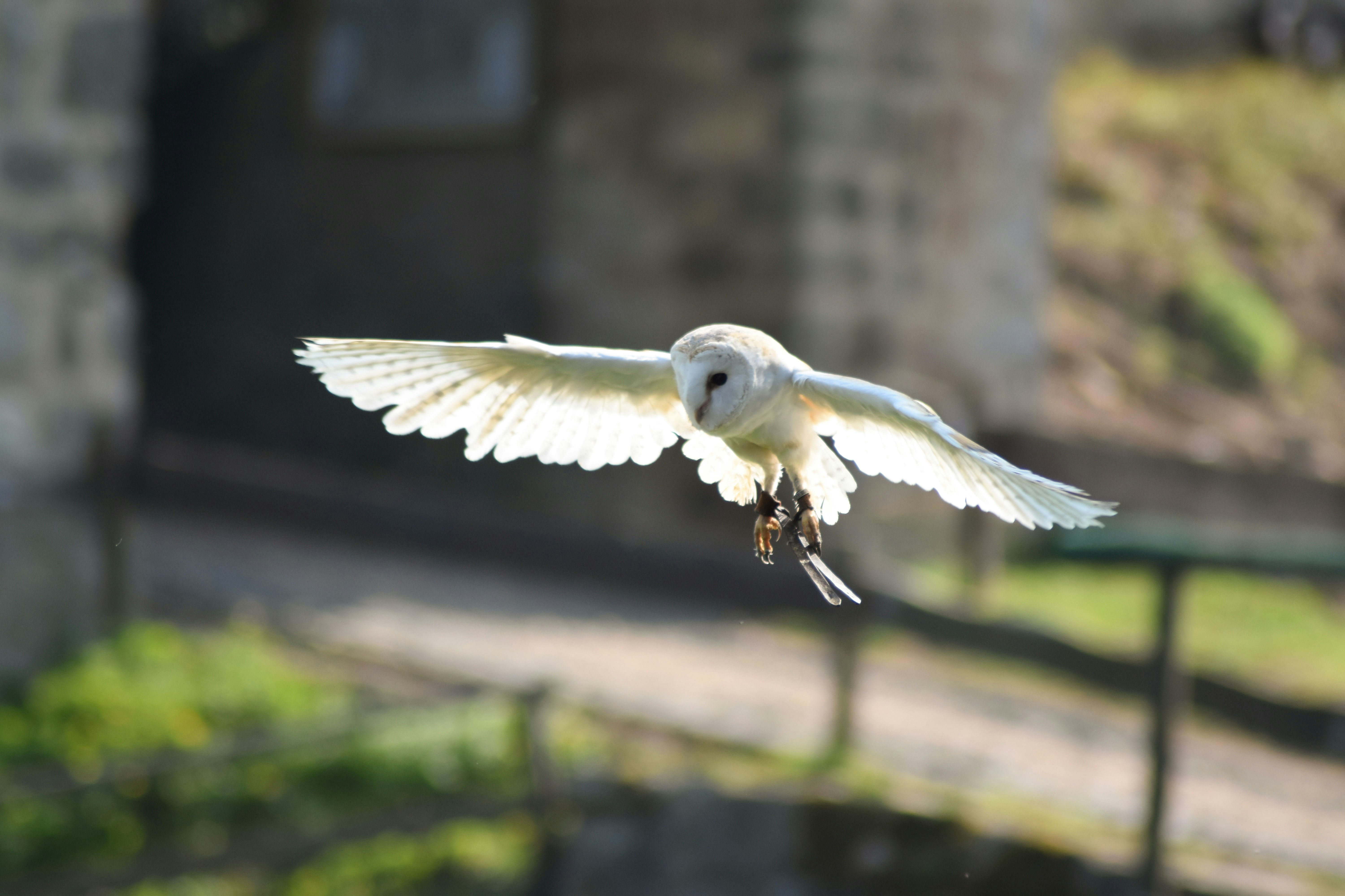 Photo by studionoordhoek