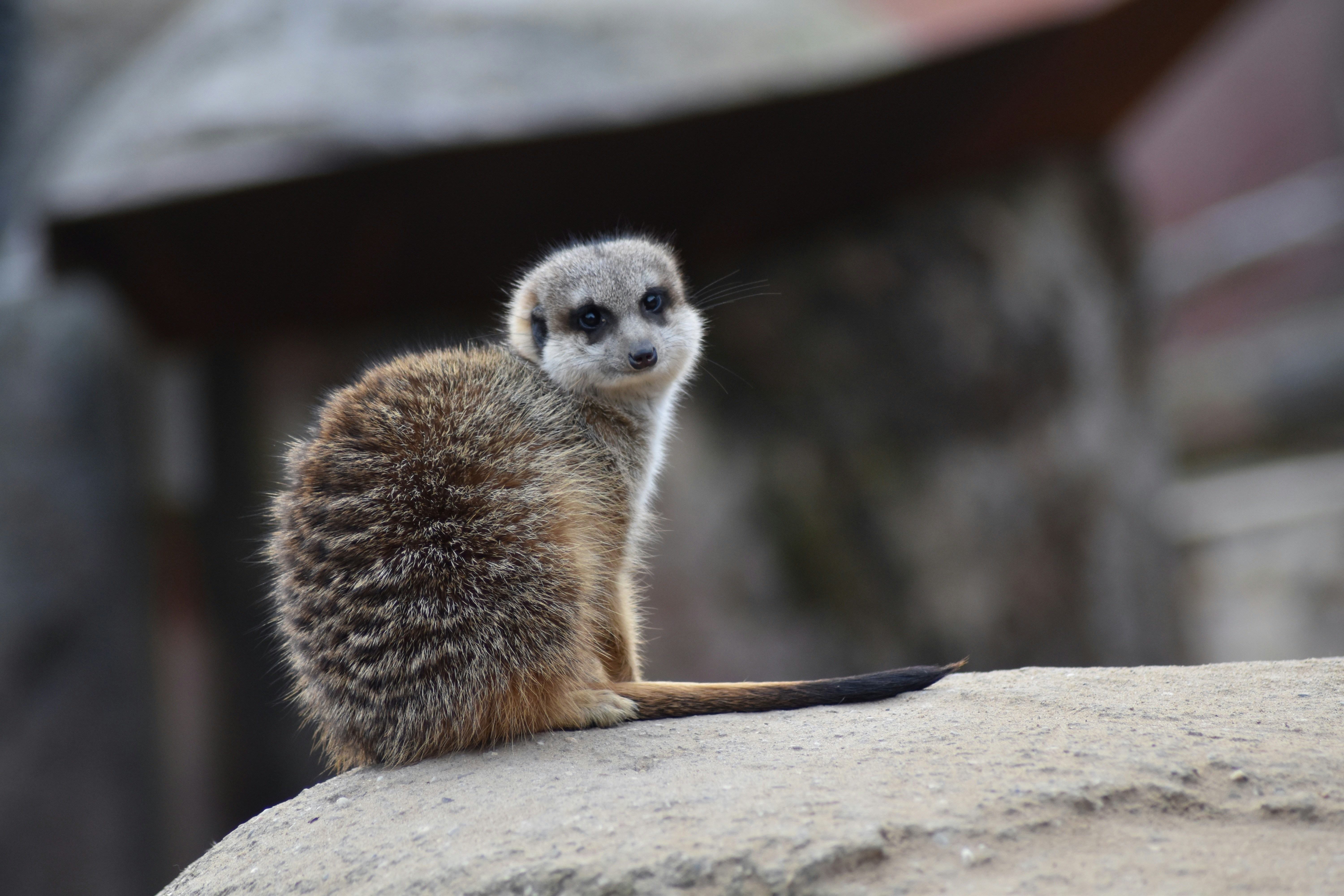 Photo by studionoordhoek