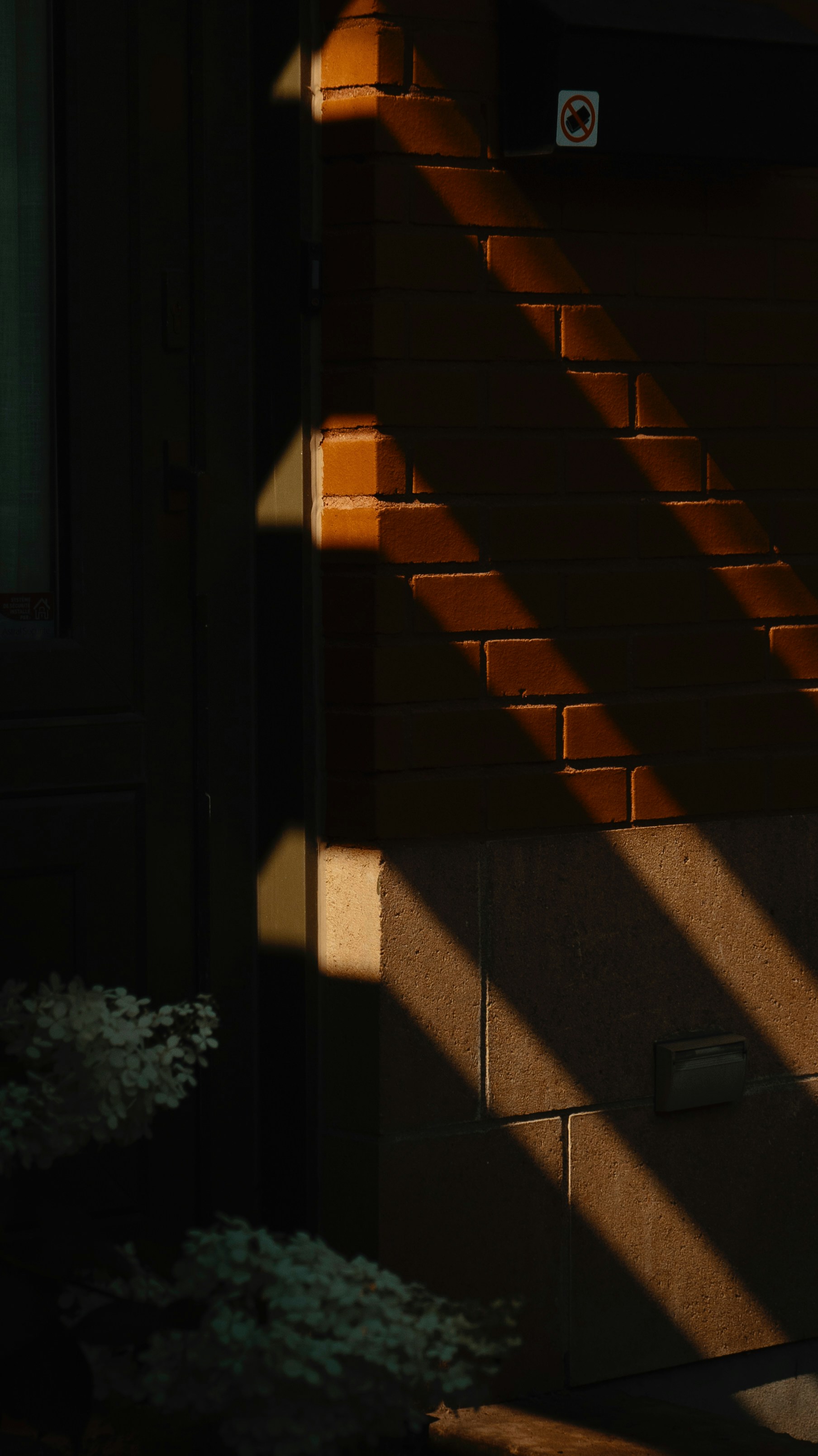 Photo by dougschneiders