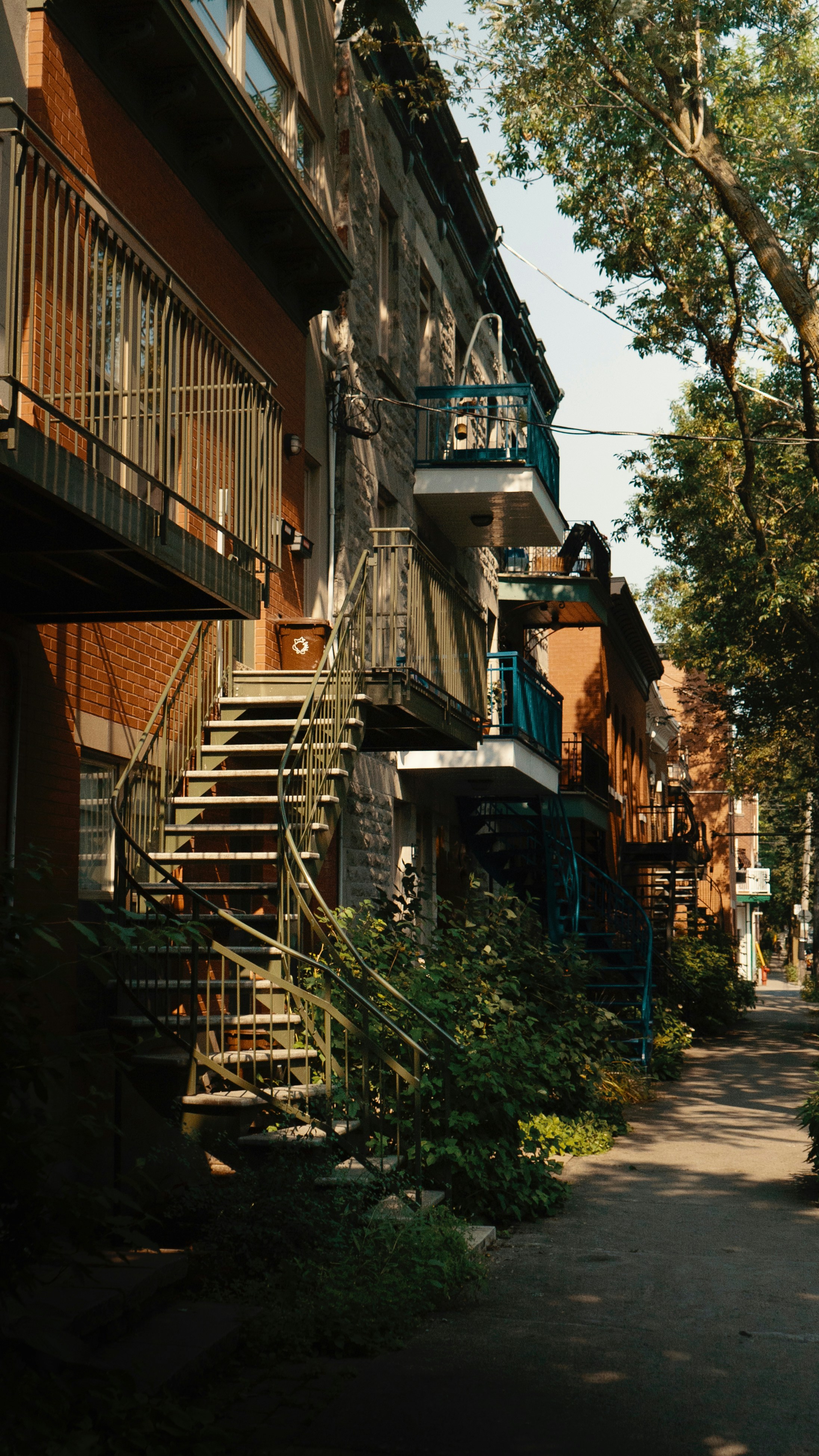 Photo by dougschneiders