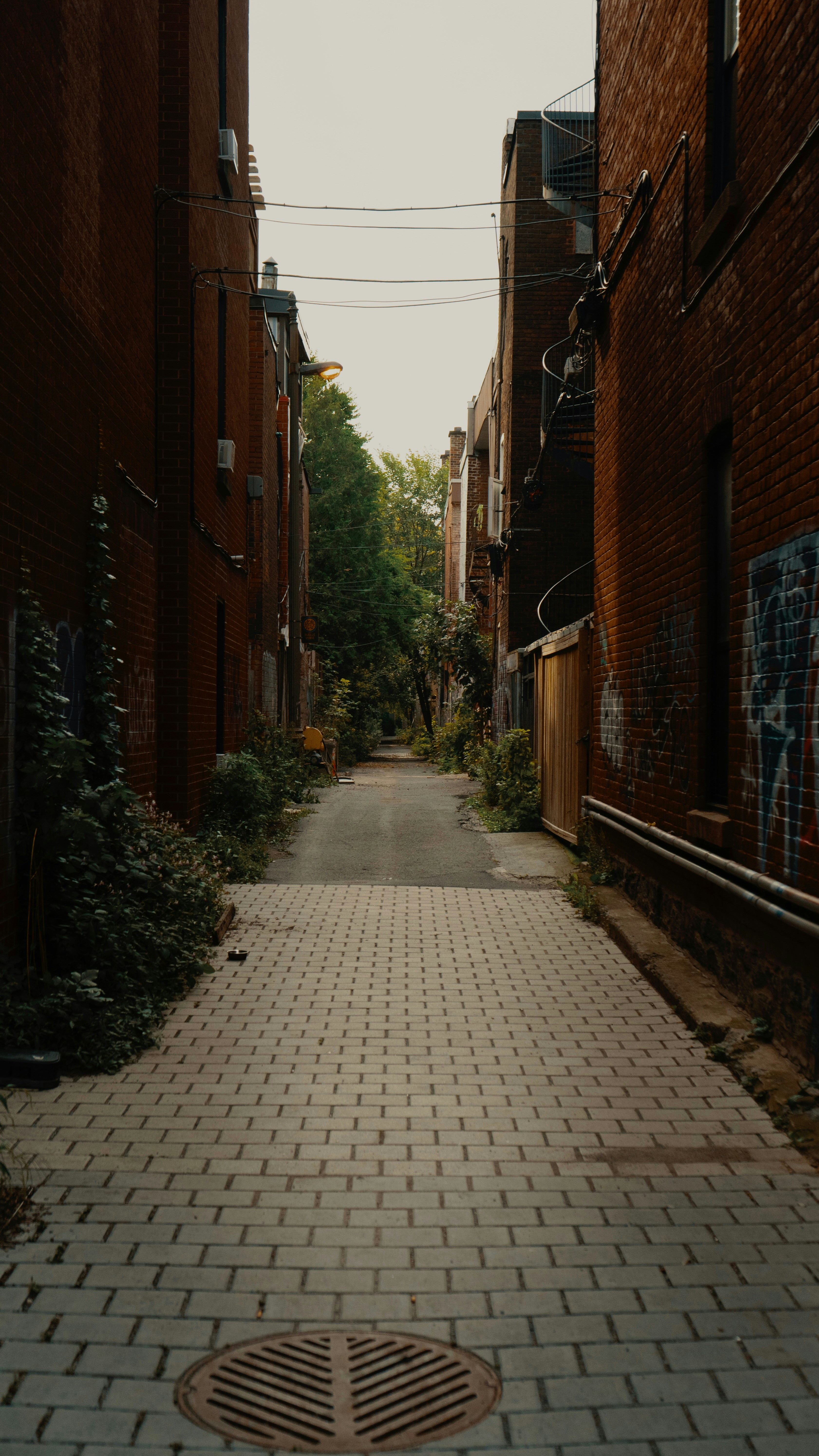 Photo by dougschneiders