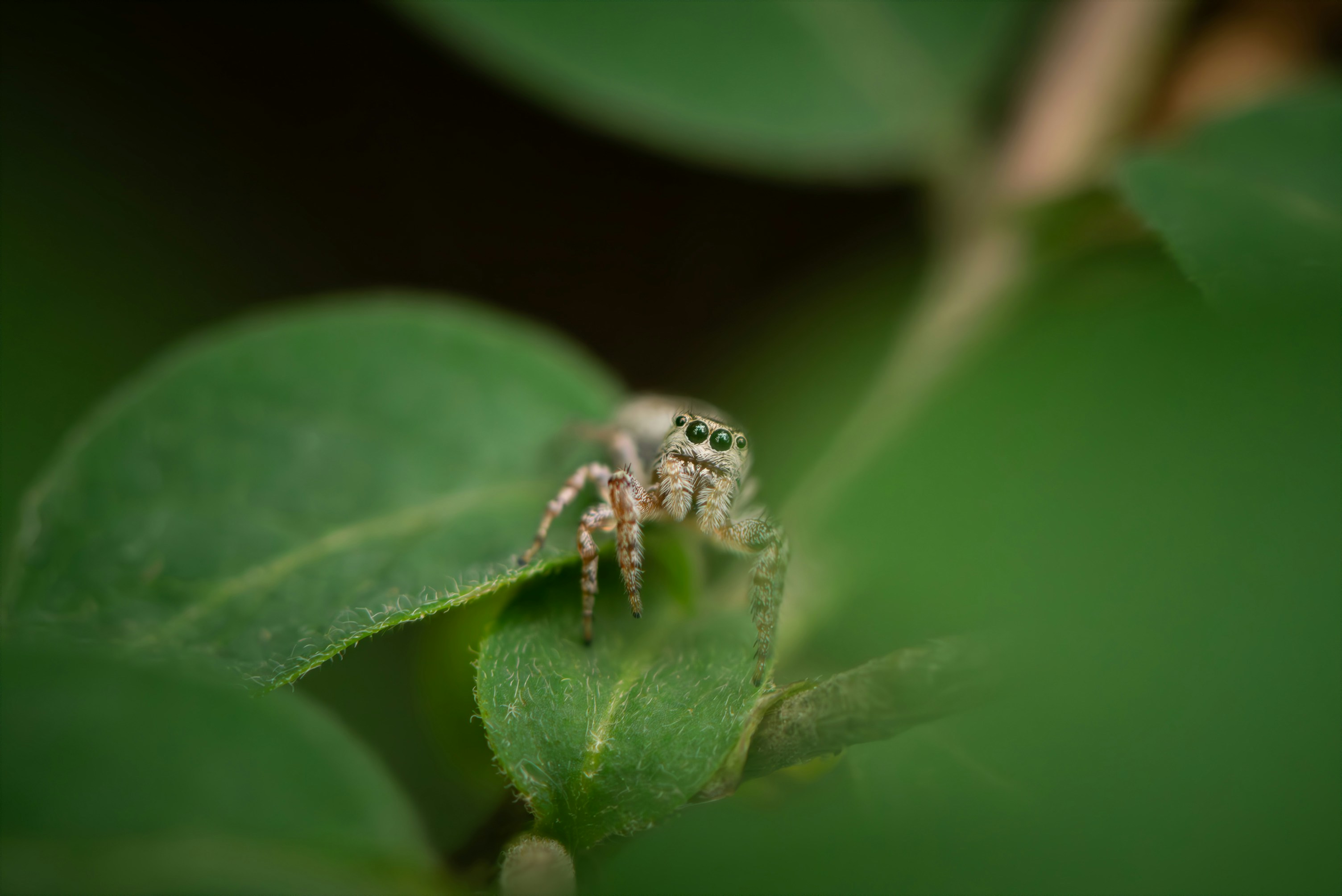 Photo by grant_ofstedahl