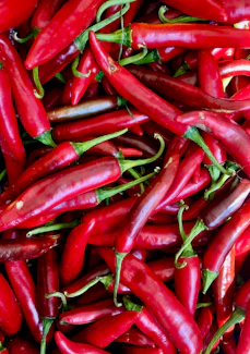 A pile of red peppers sitting next to each other