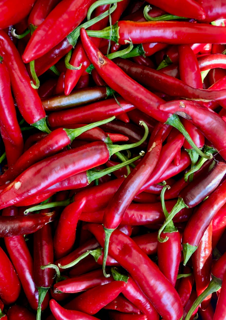 A pile of red peppers sitting next to each other