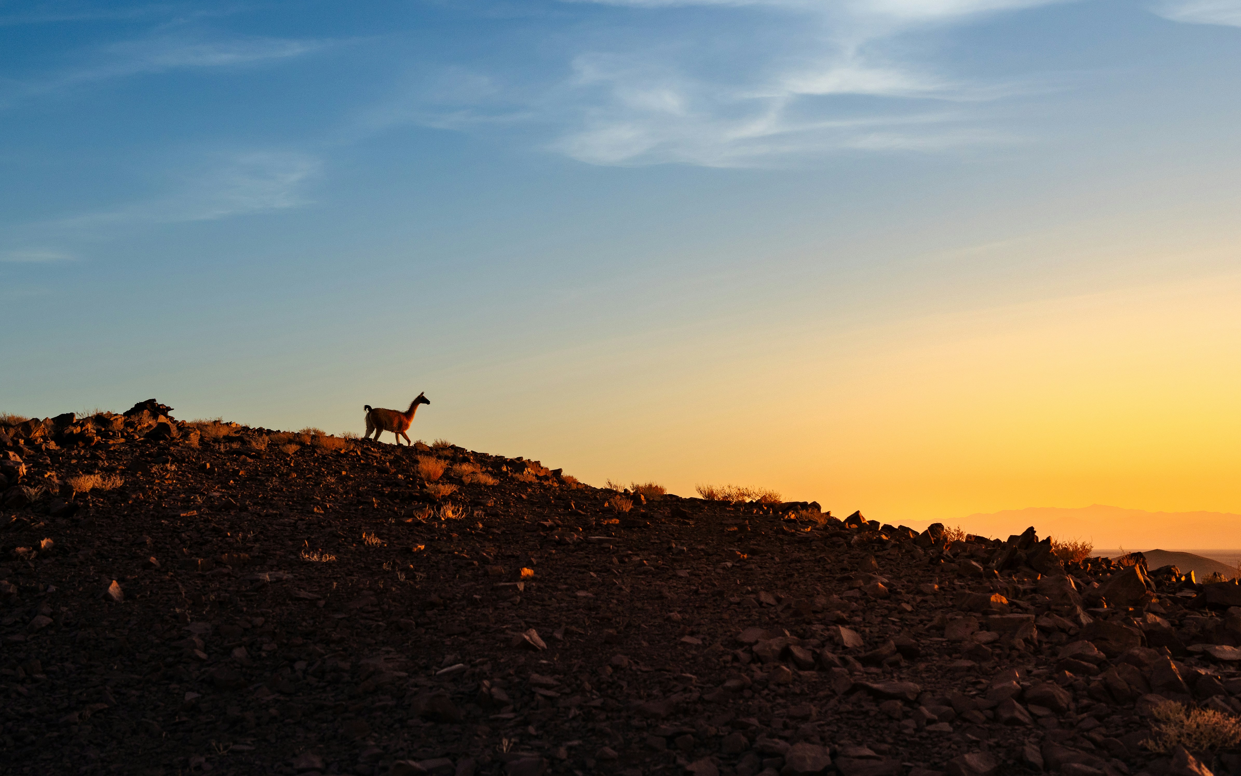 Photo by marekpiwnicki