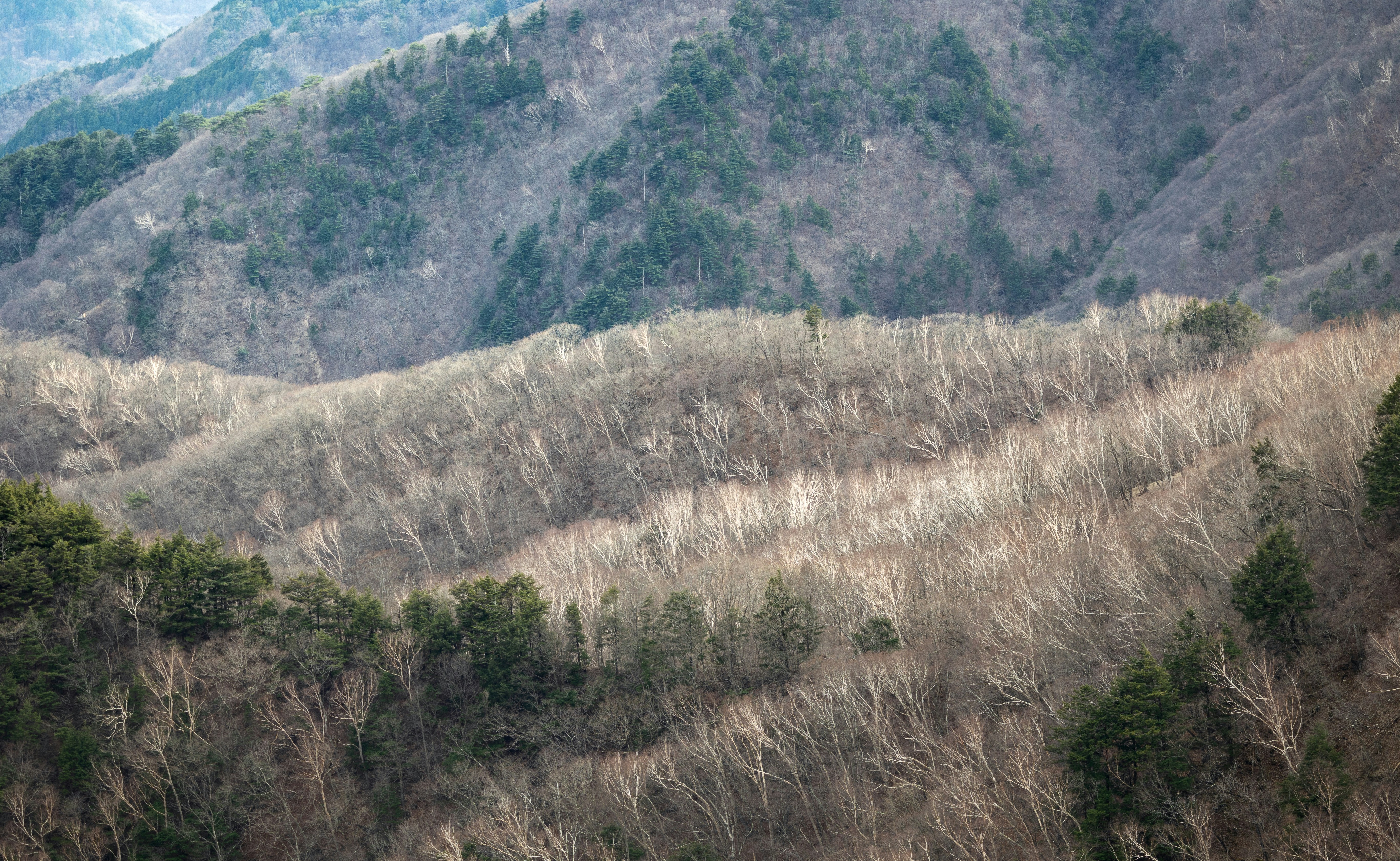 Photo by marekpiwnicki