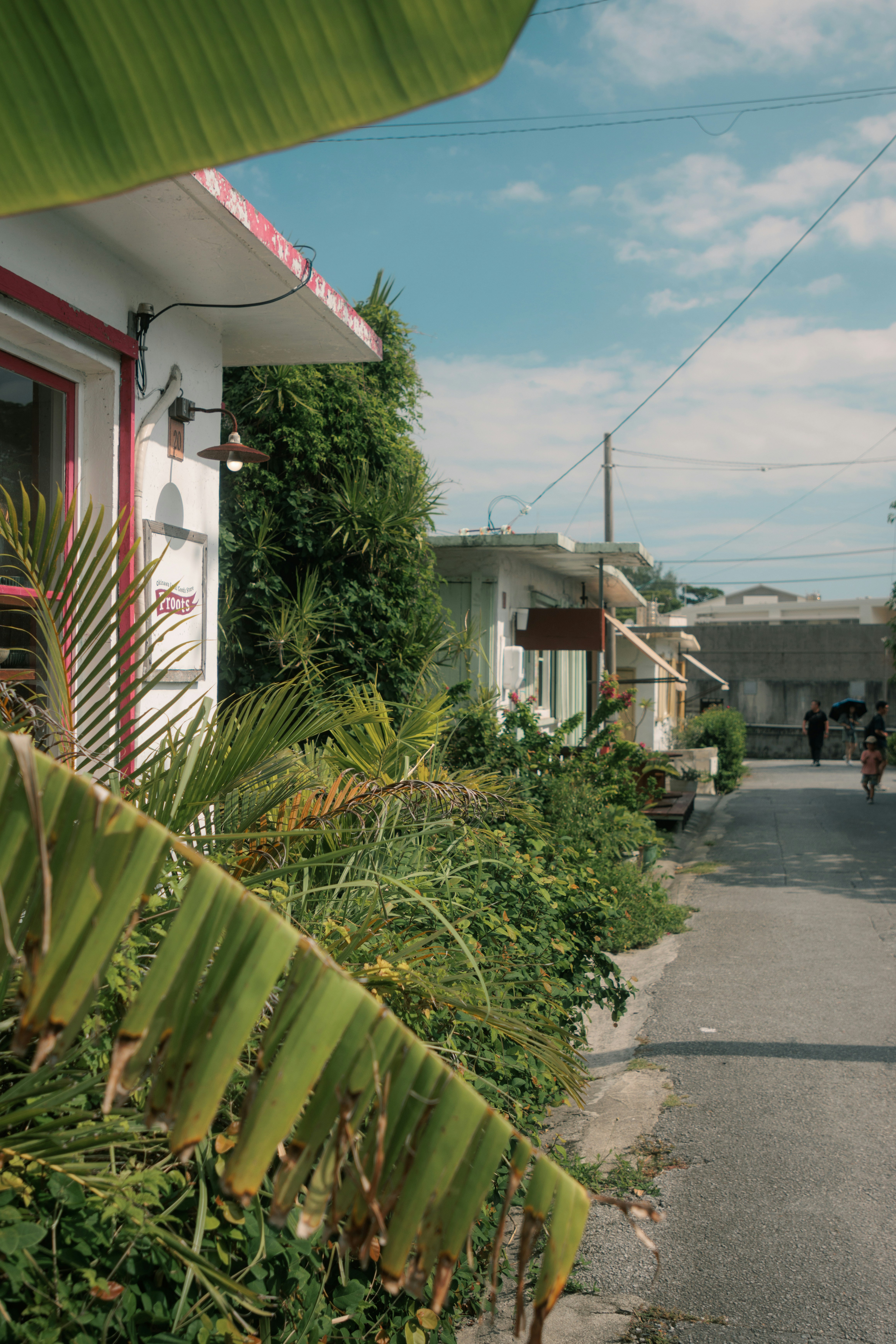 Best Time to Visit Okinawa