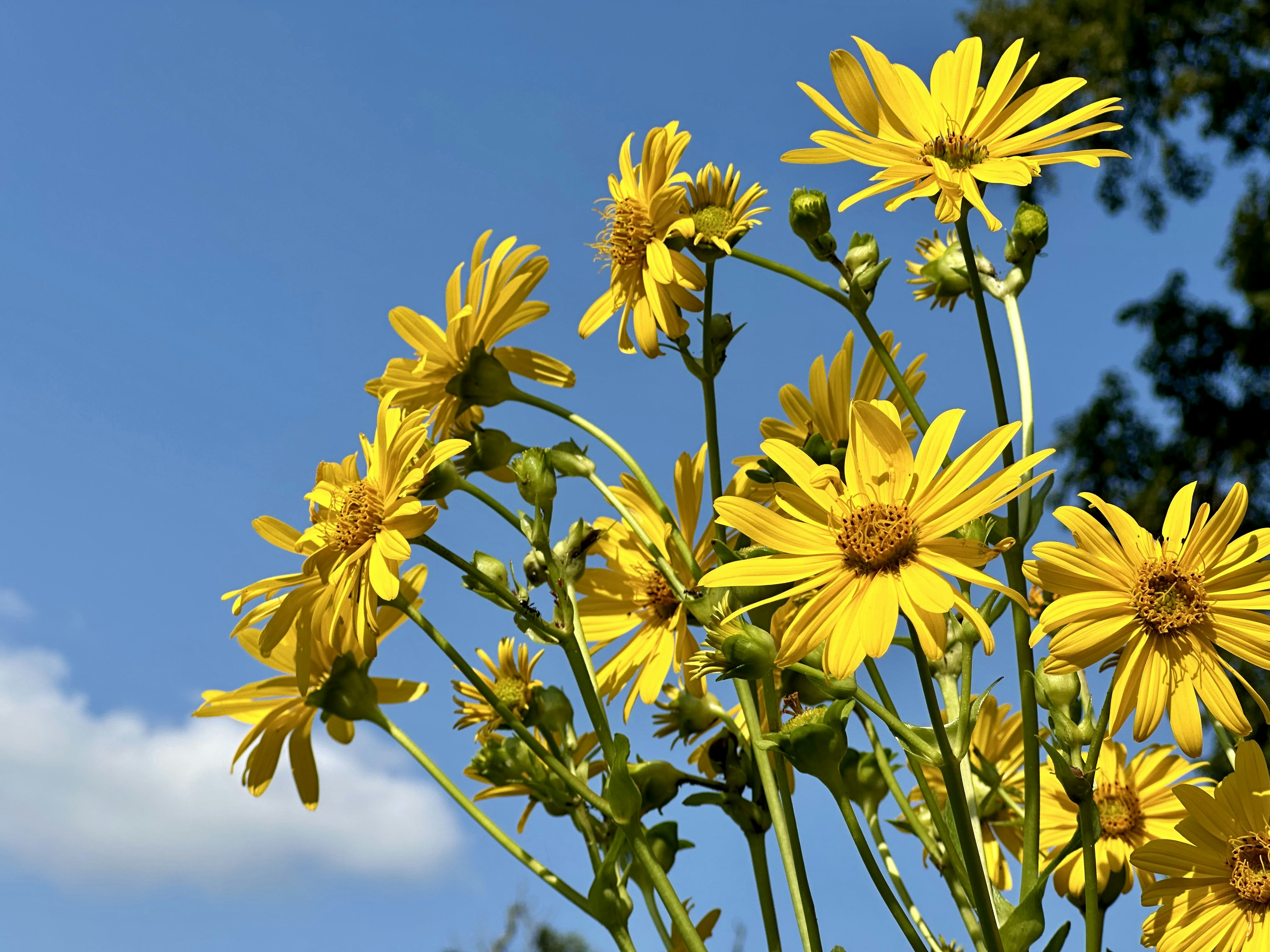 Photo by midkiffaries