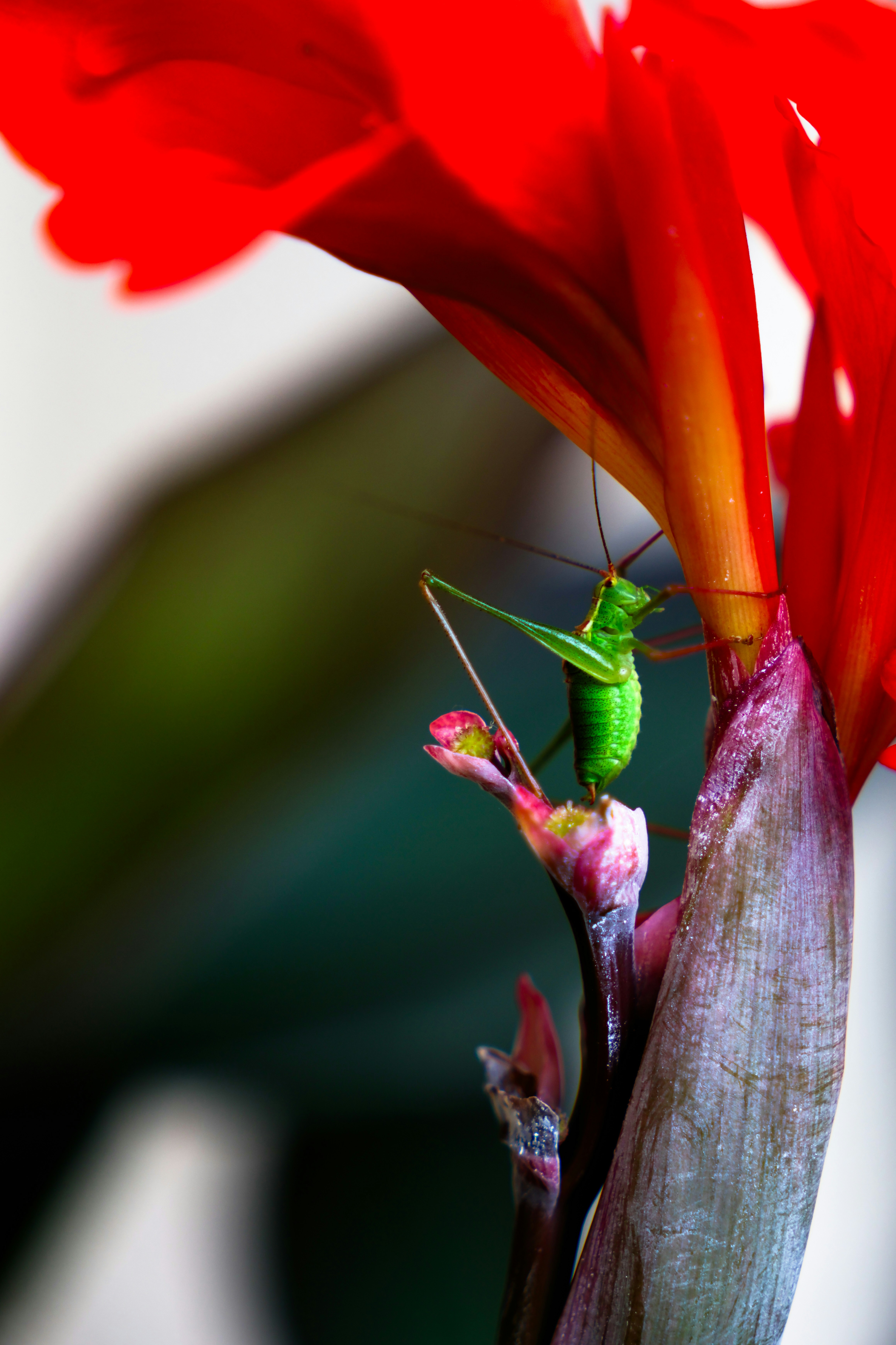 Photo by worldofphotos