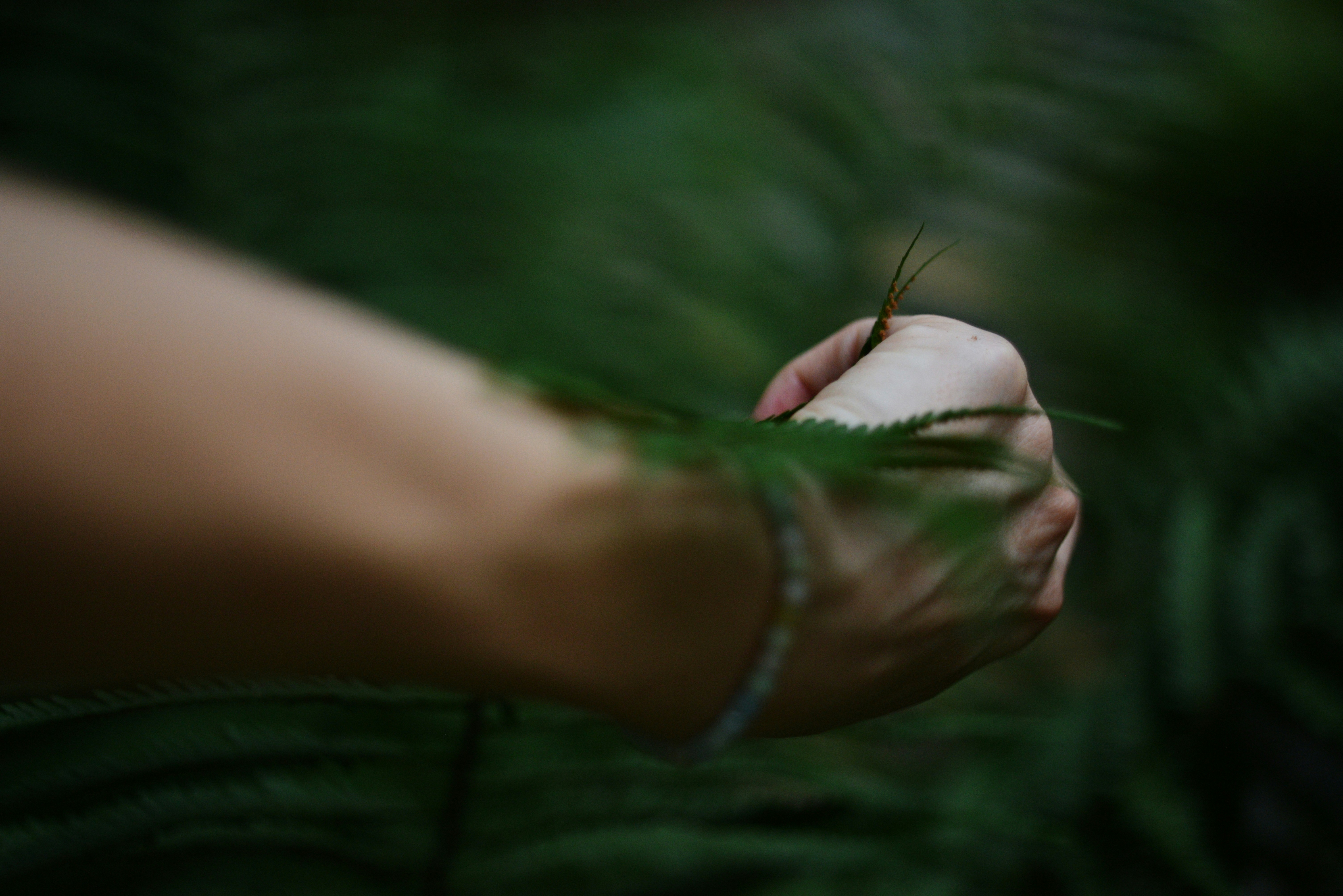 Photo by cherstve_pechivo