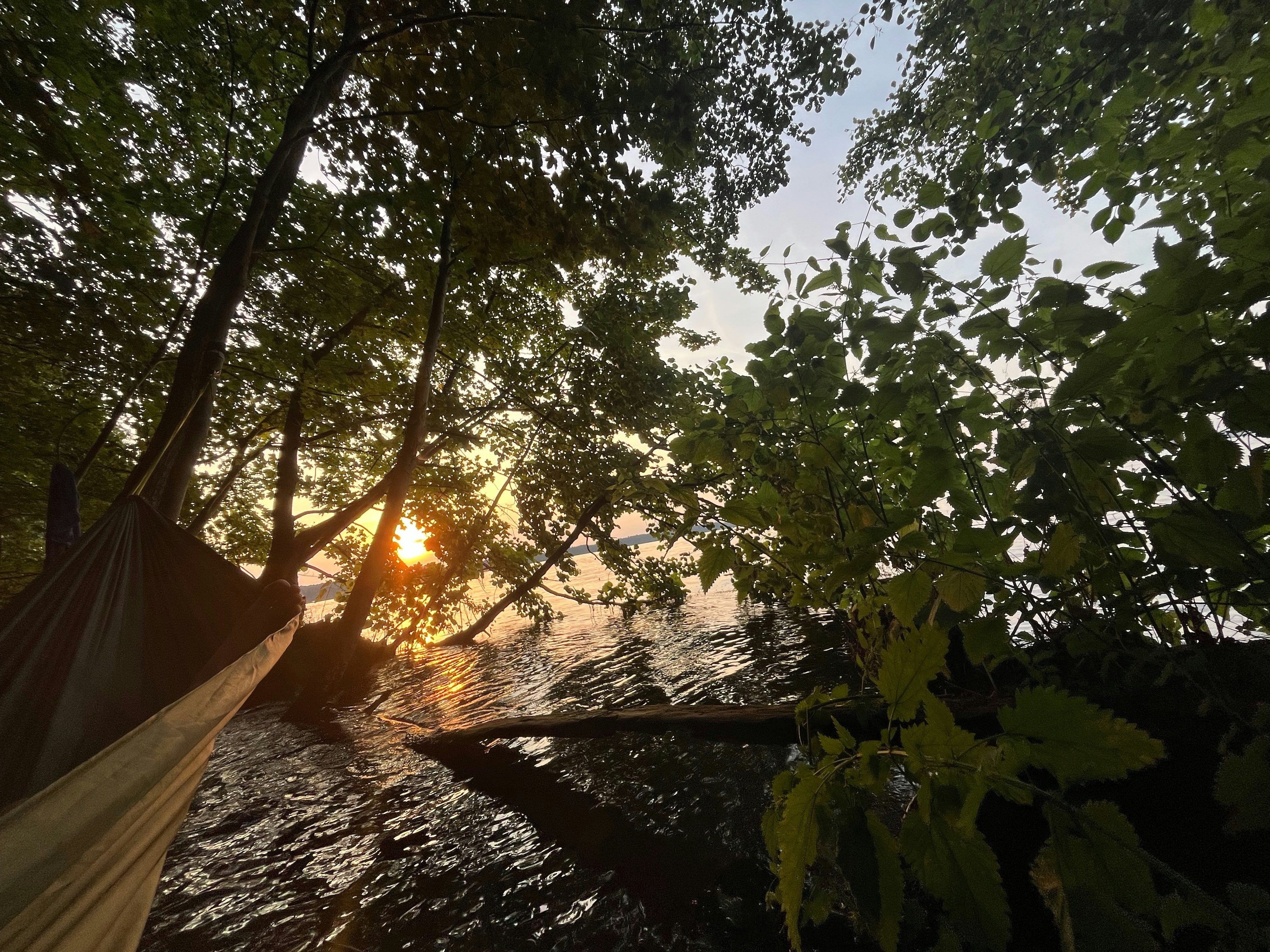A hammock sitting next to a body of water