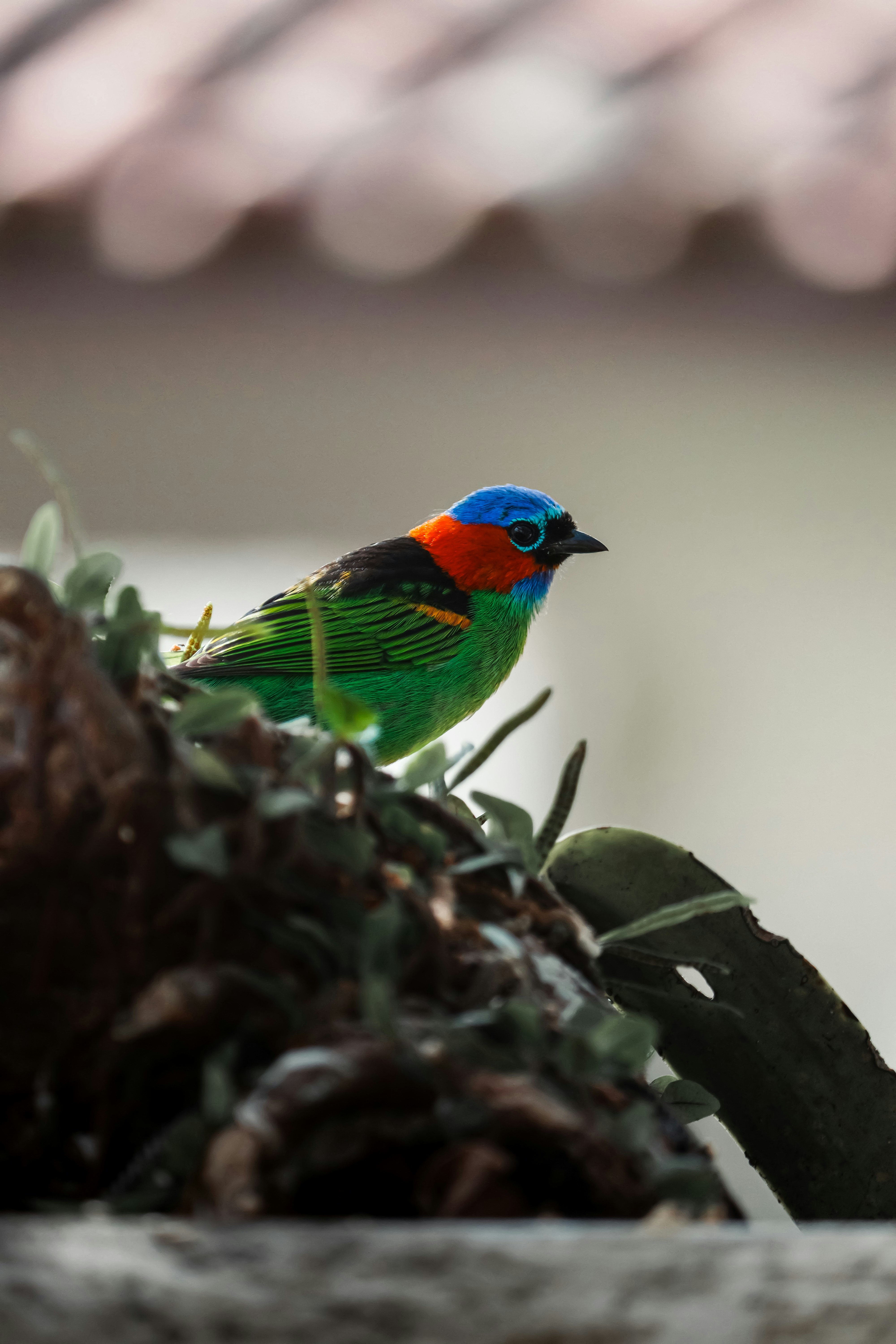 Photo by gabrielfotos