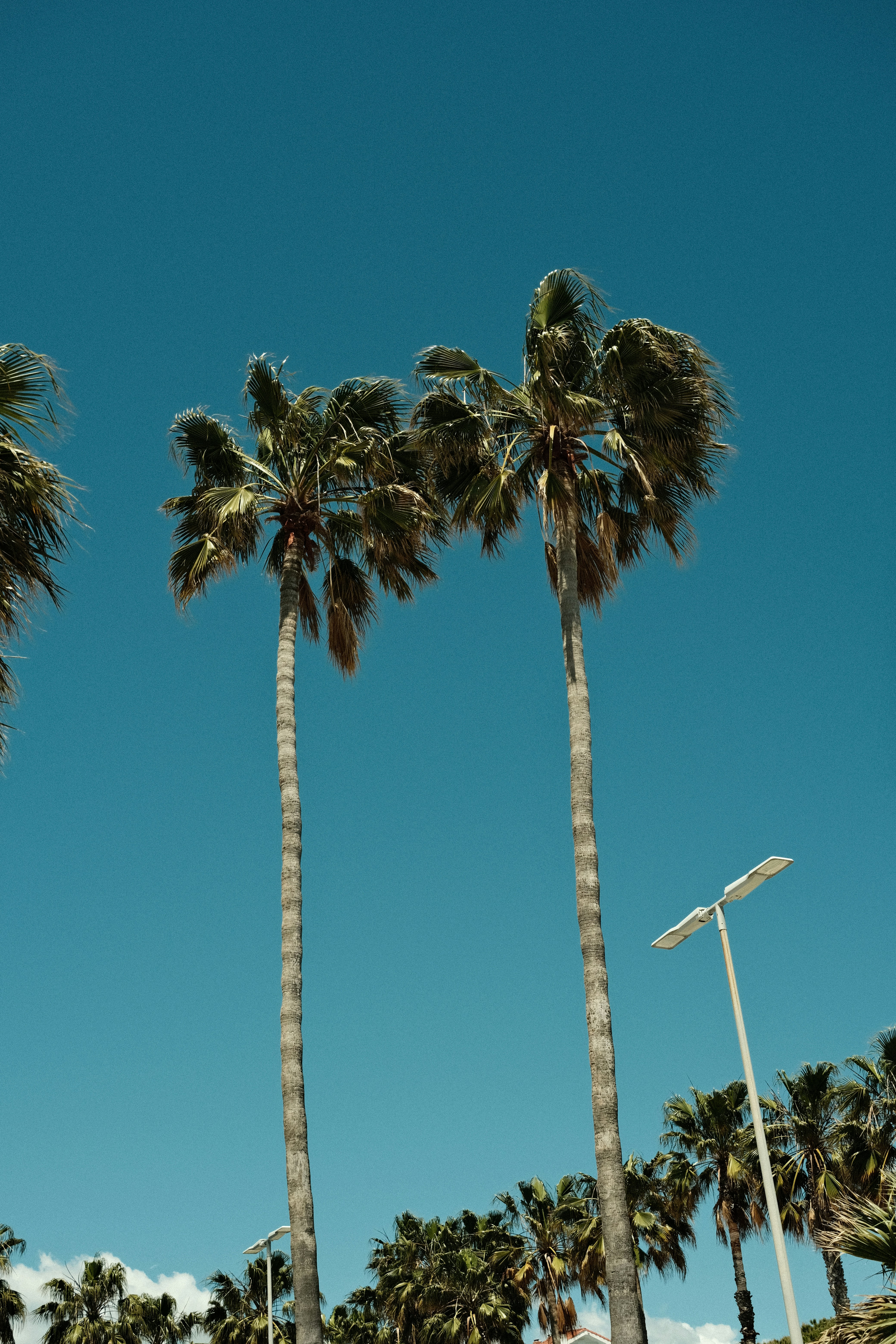 Photo by sacephotography