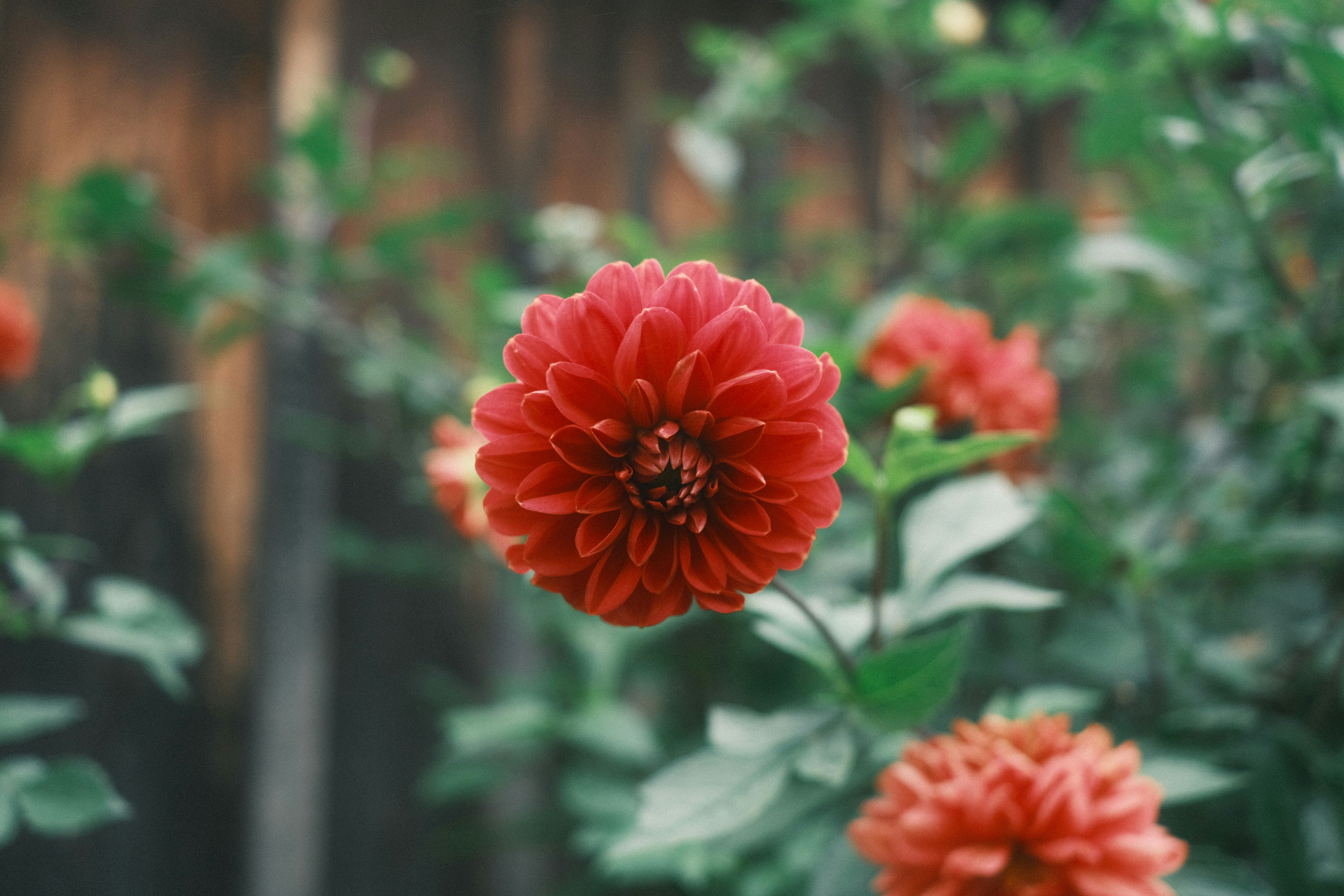 Photo by sacephotography