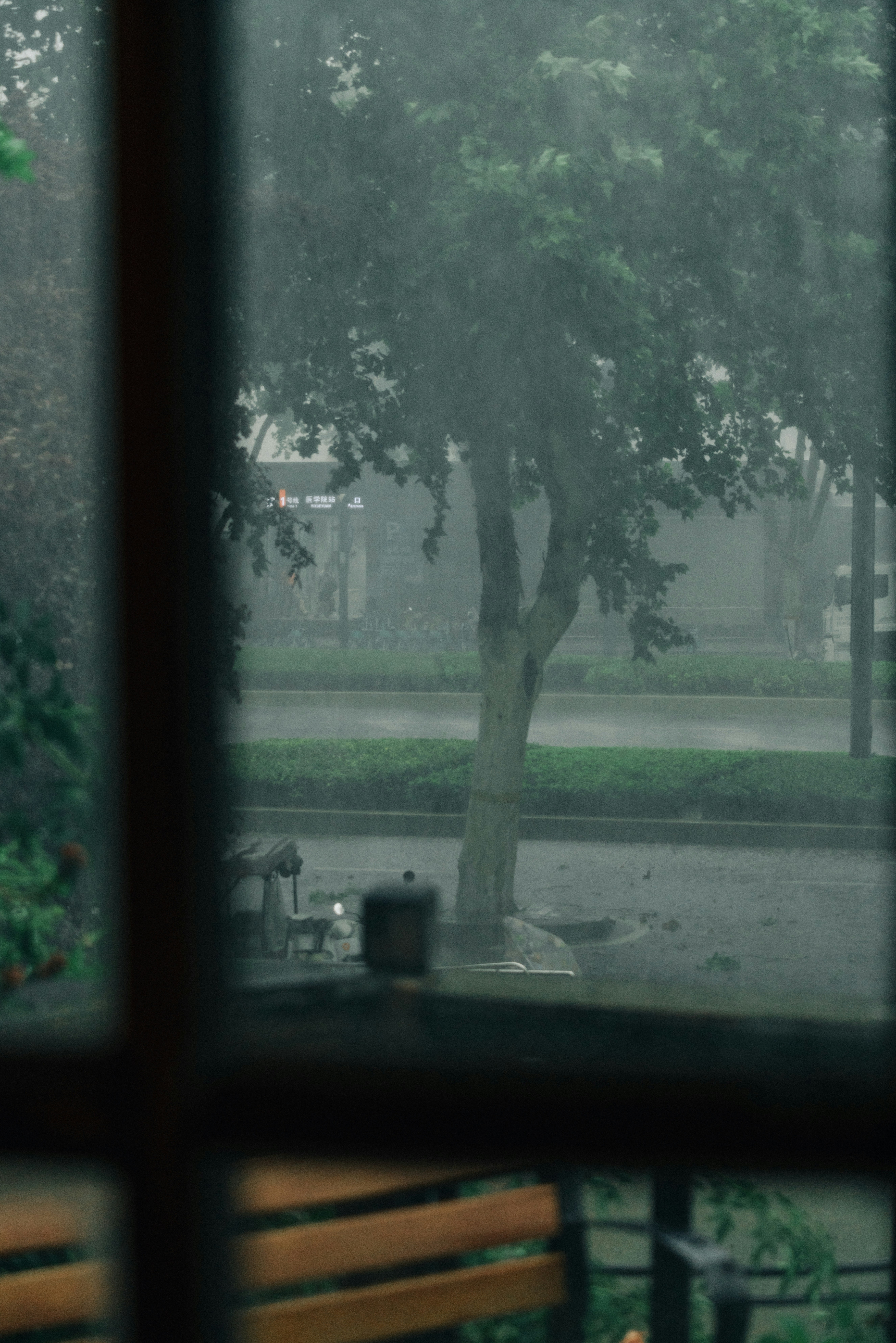 Photo by ooneiroslyl