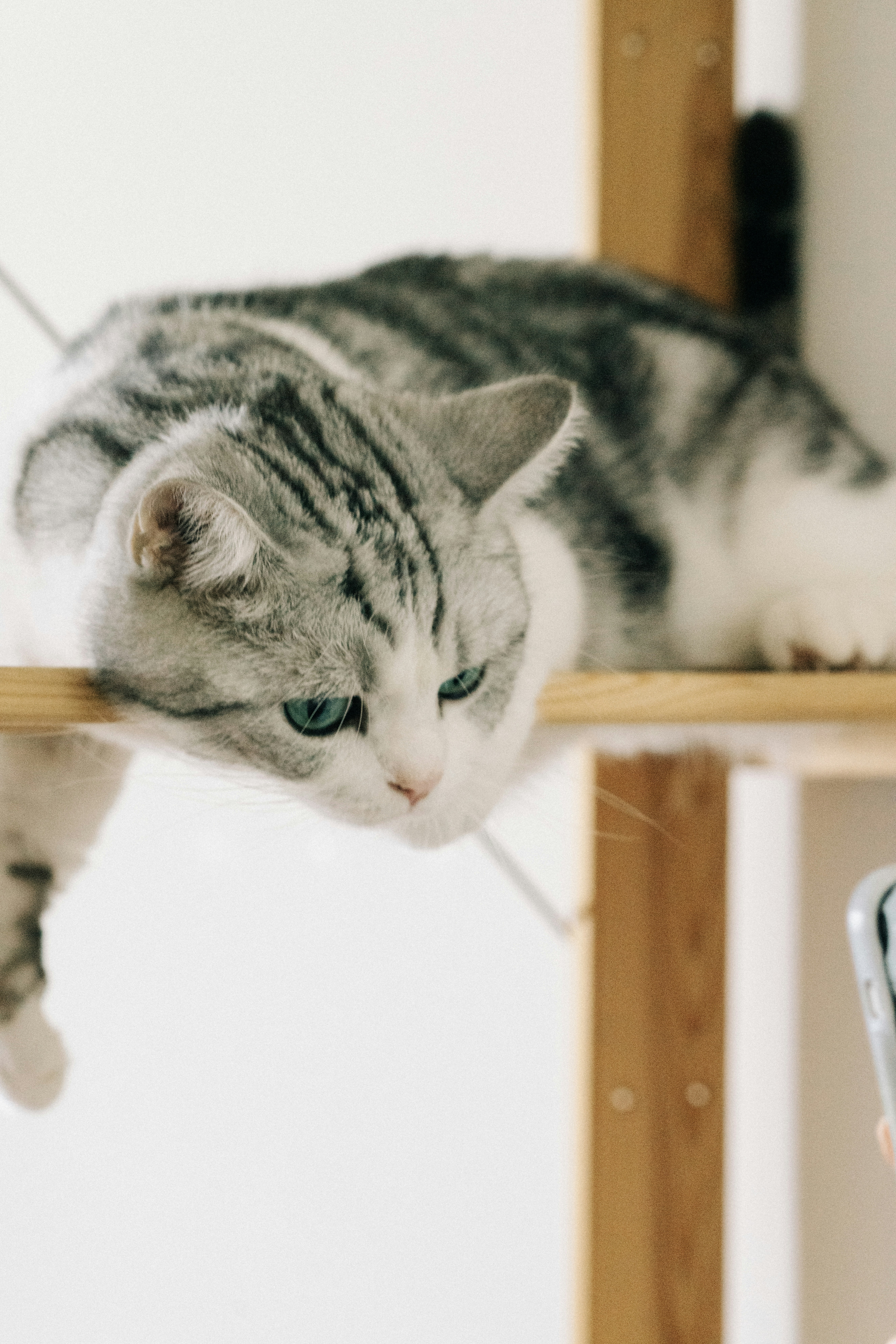 Photo by ooneiroslyl