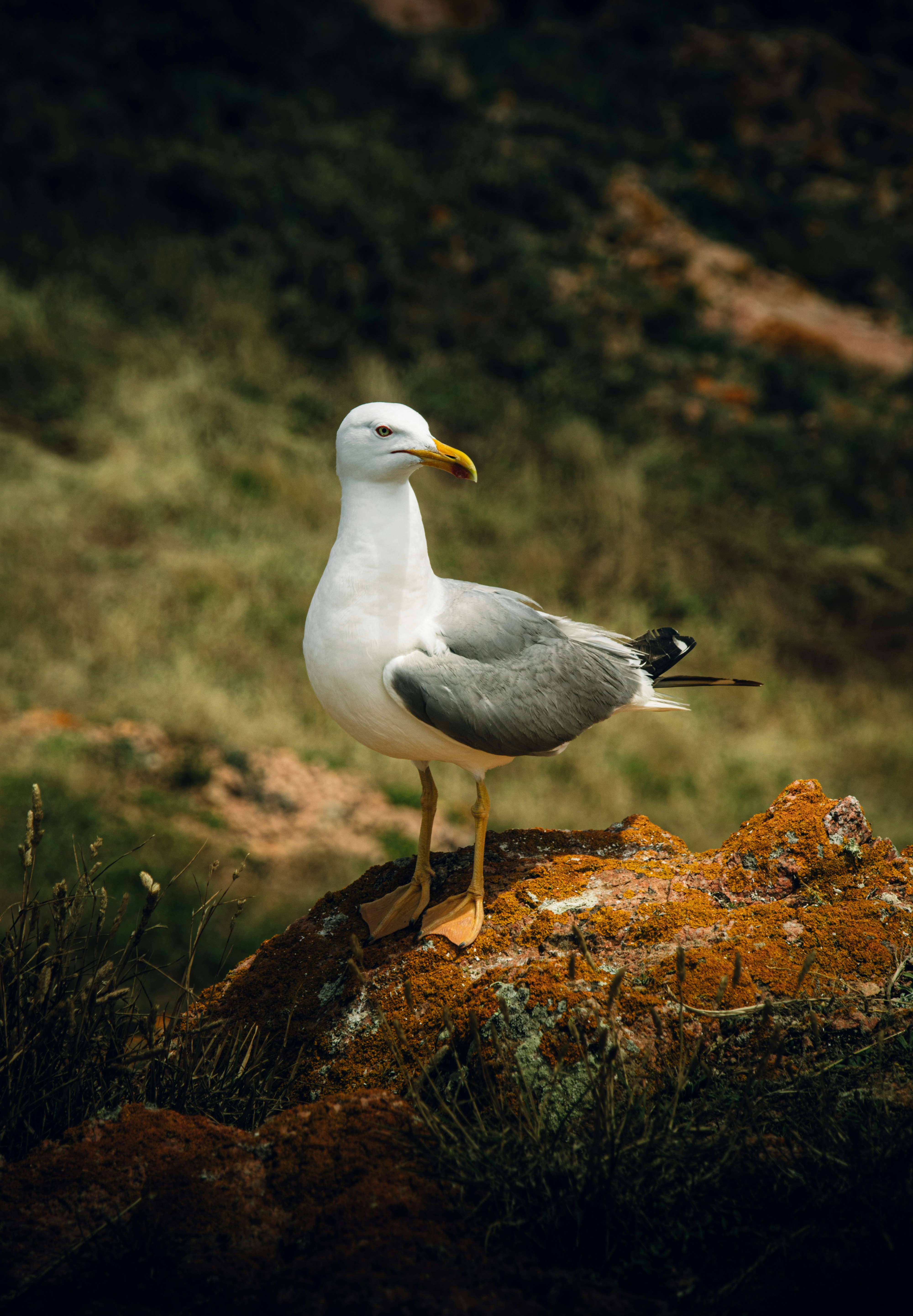 Photo by patrycja_chociej